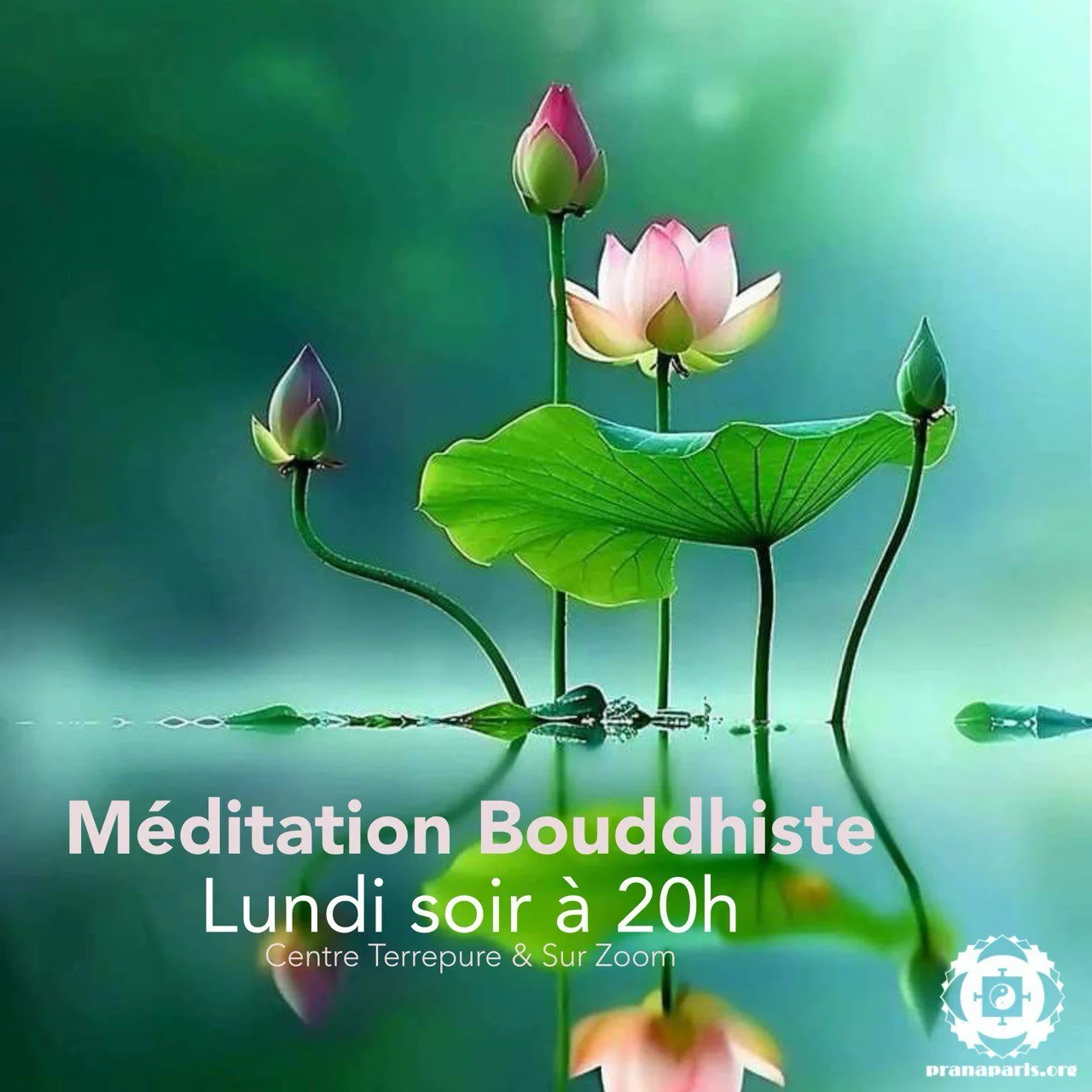 Méditation Bouddhiste