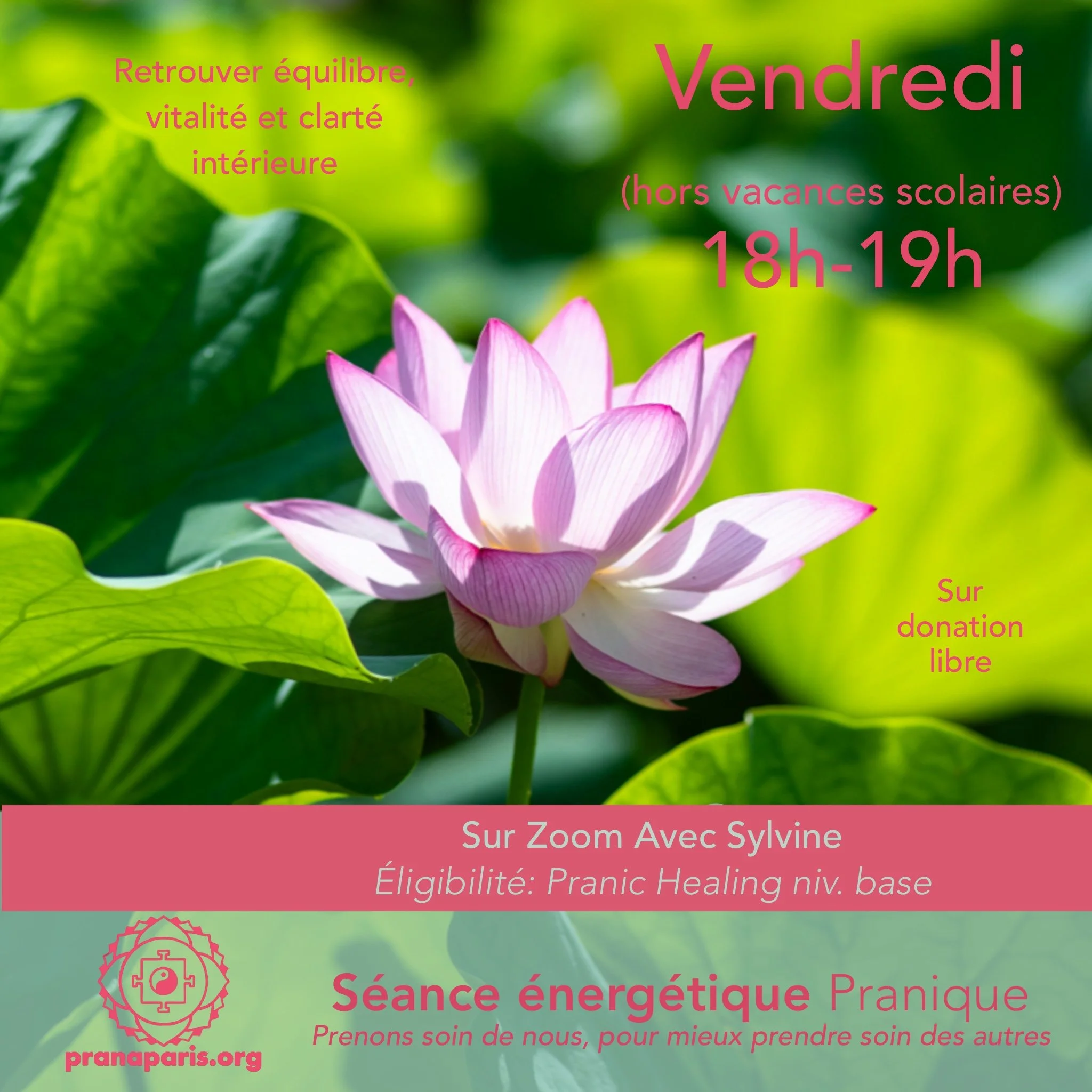 Scéance énergetique Pranique Psychothérapie