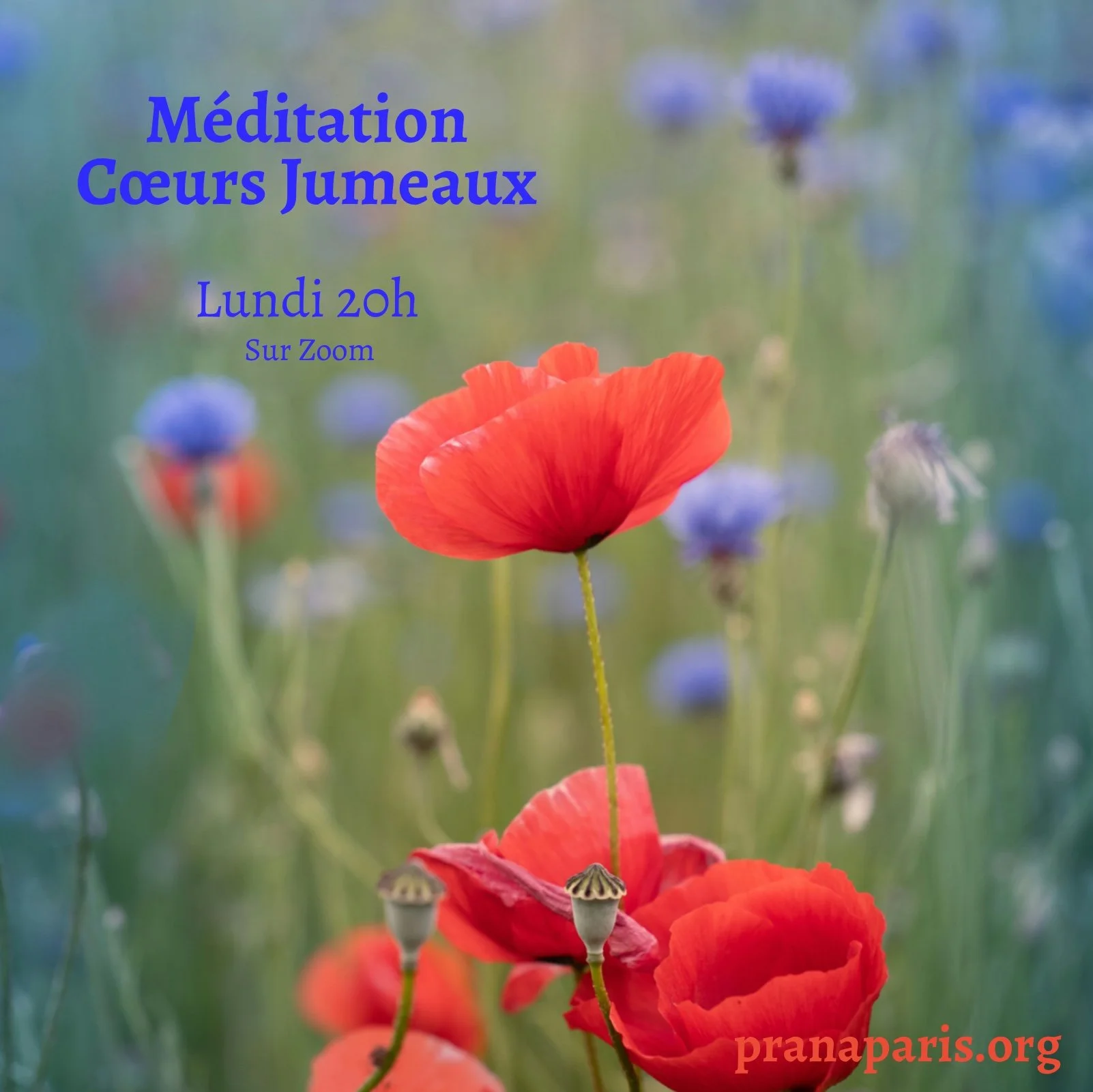 Méditation Cœurs Jumeaux