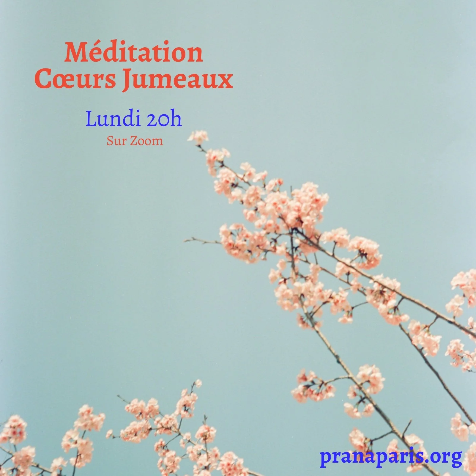 Méditation Cœurs Jumeaux