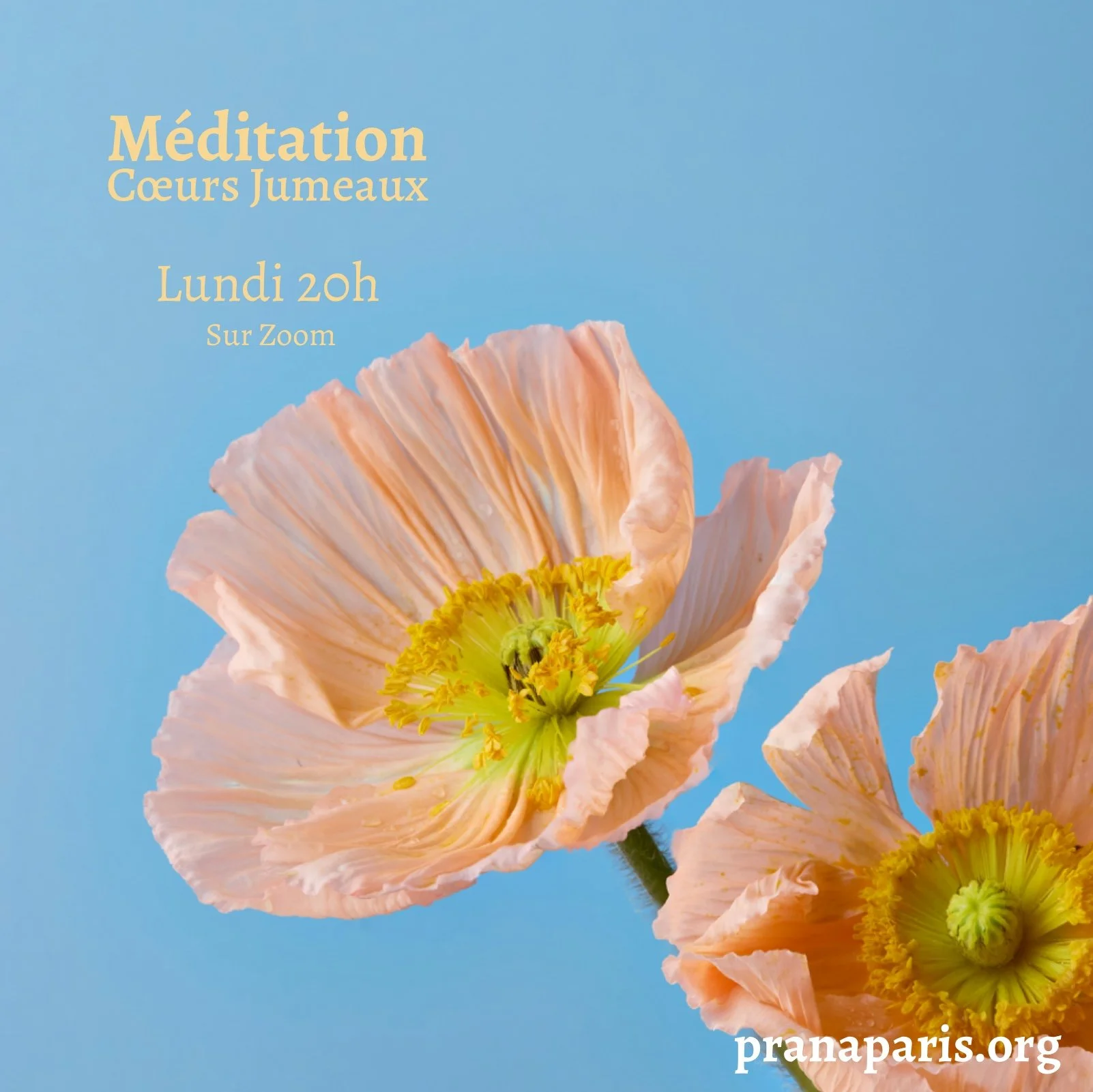 Méditation Coeurs Jumeaux