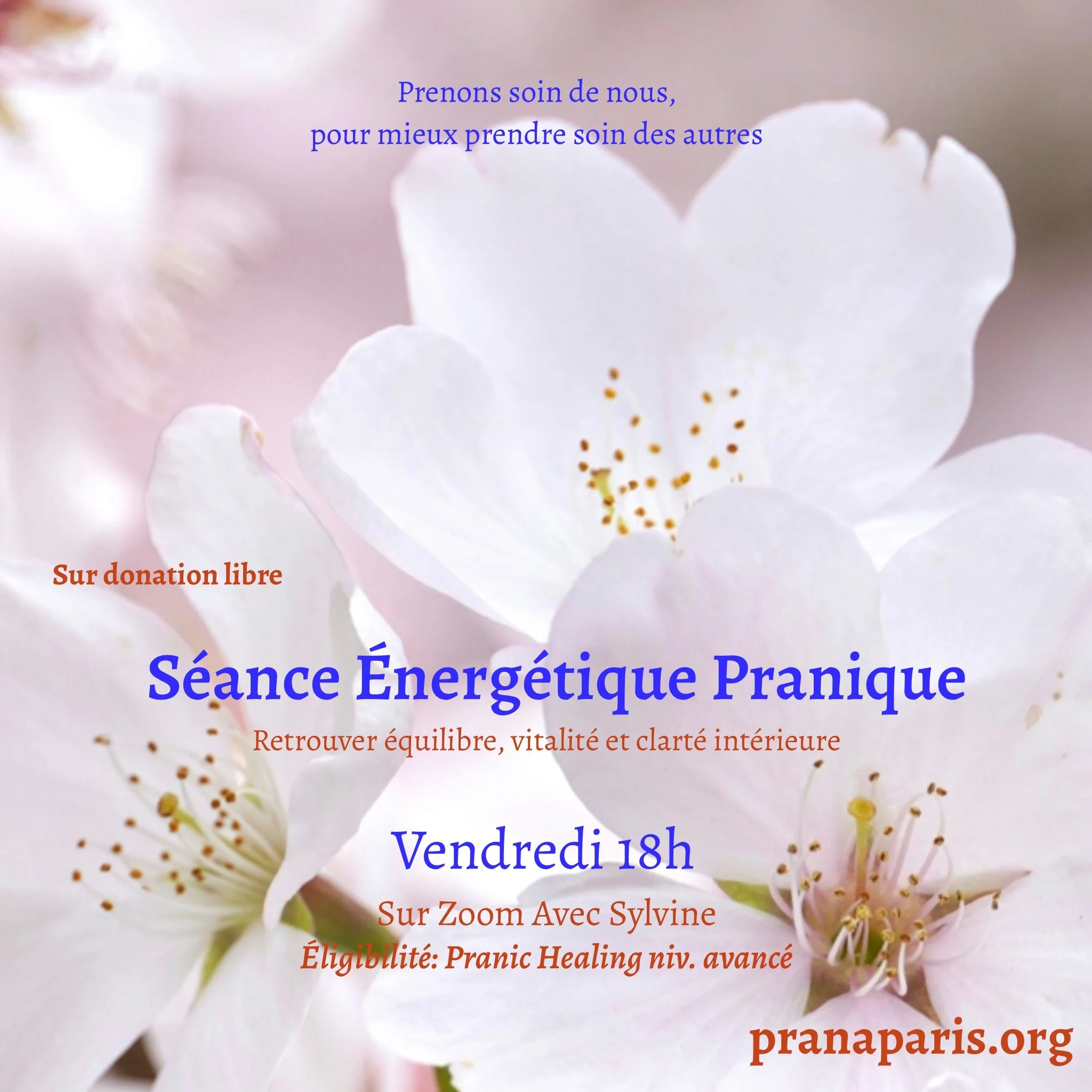 Scéance énergetique Pranique