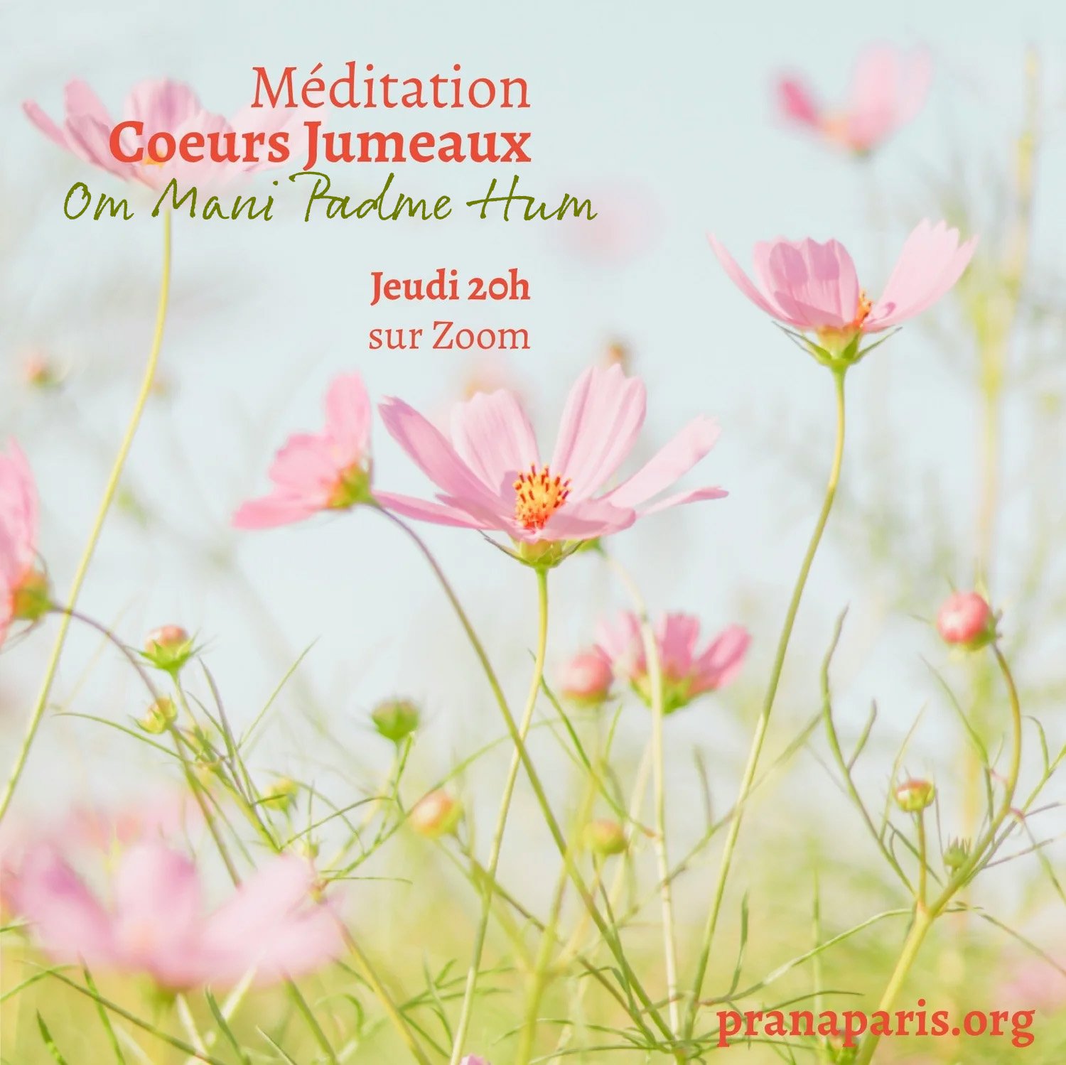 Méditation Coeurs Jumeaux Om Mani Padme Hum