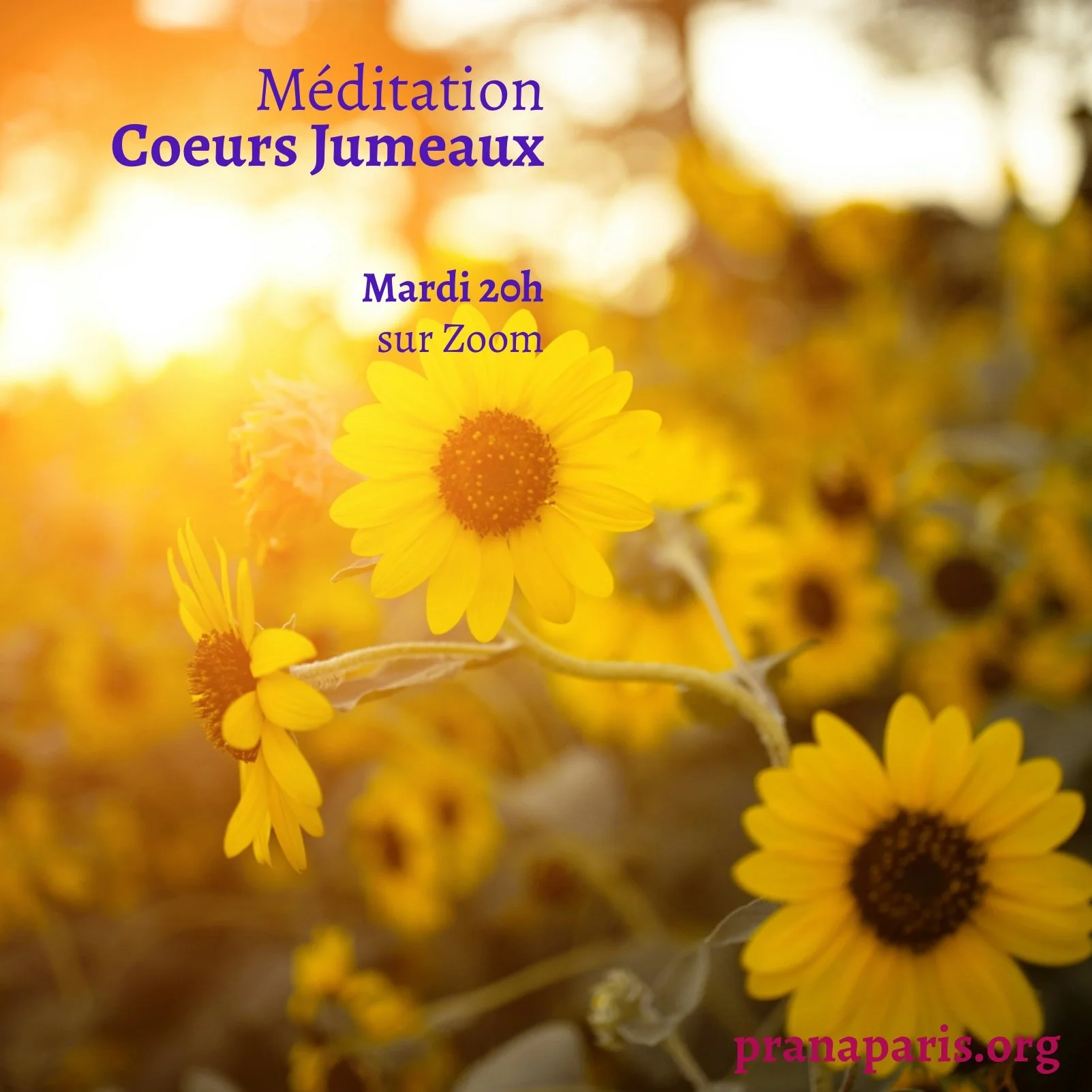 Méditation Coeurs Jumeaux