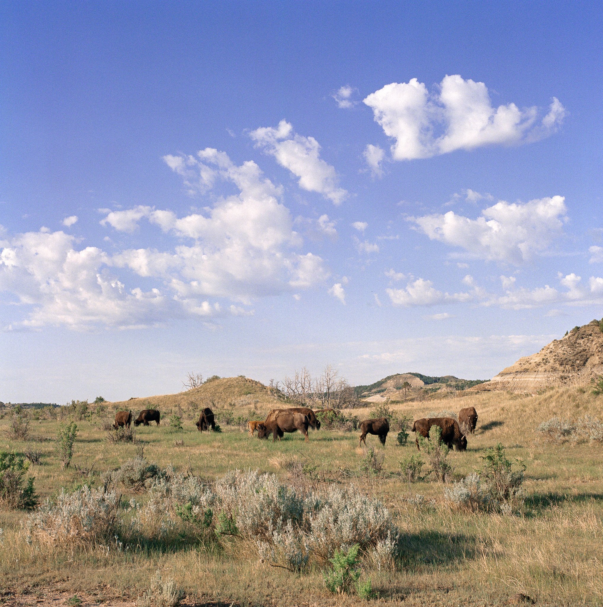 06262021_Portra800_14.jpg