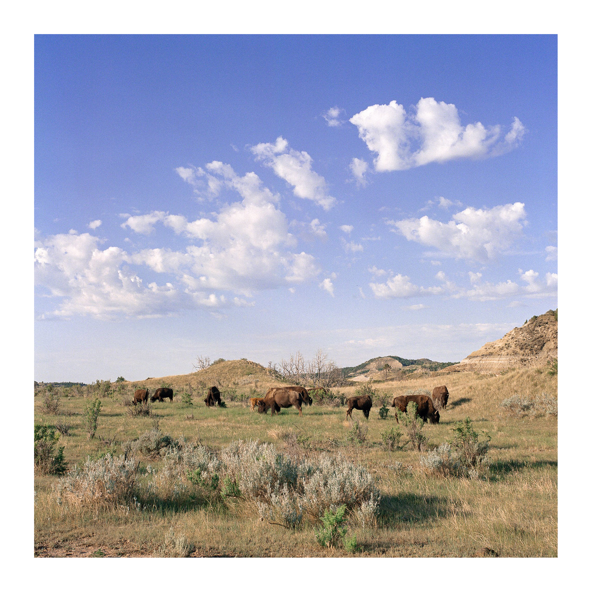 Badlands Two