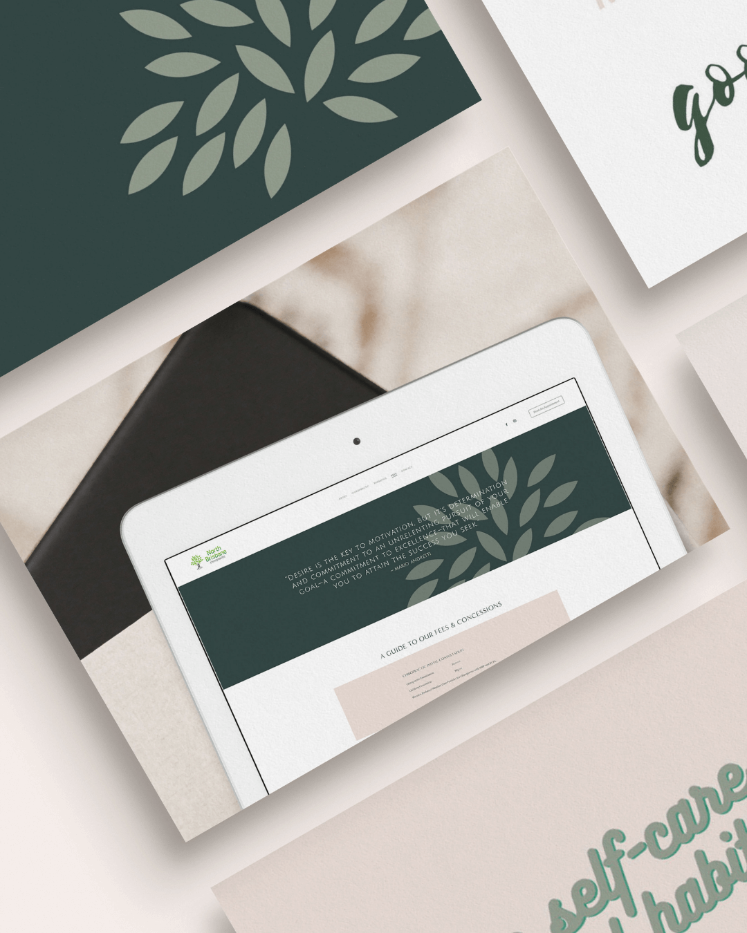 Asha Creative - North Brisbane Chiro.png