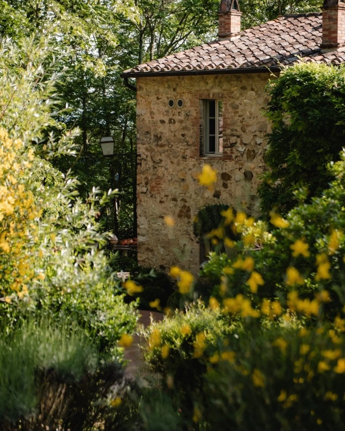 Casa in pietra con tetto in terracotta, parzialmente nascosta tra alberi e cespugli fioriti, con una finestra.
