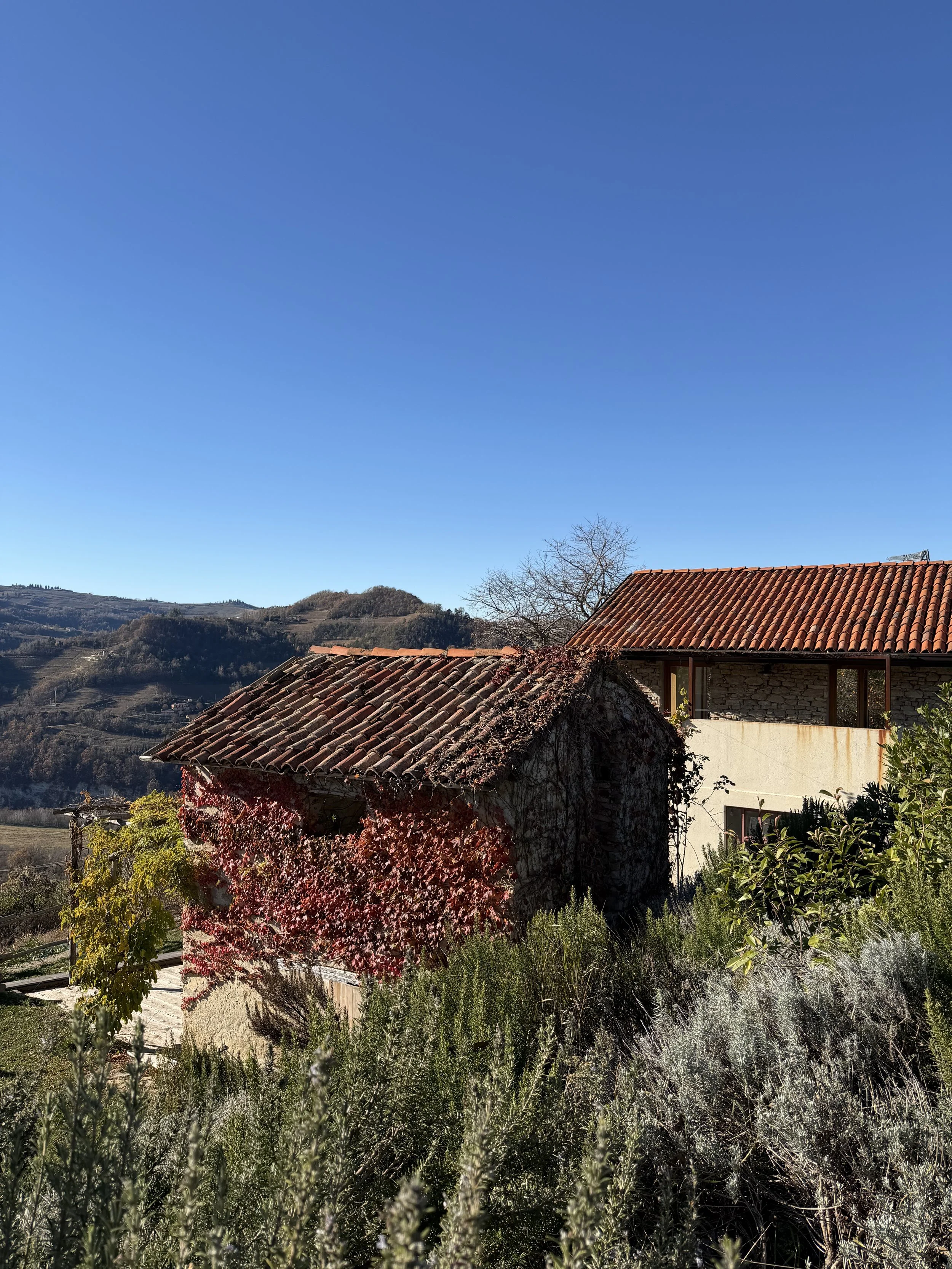 Casa rustica con tetto di terracotta e piante verdi, in un paesaggio collinare con cielo blu.