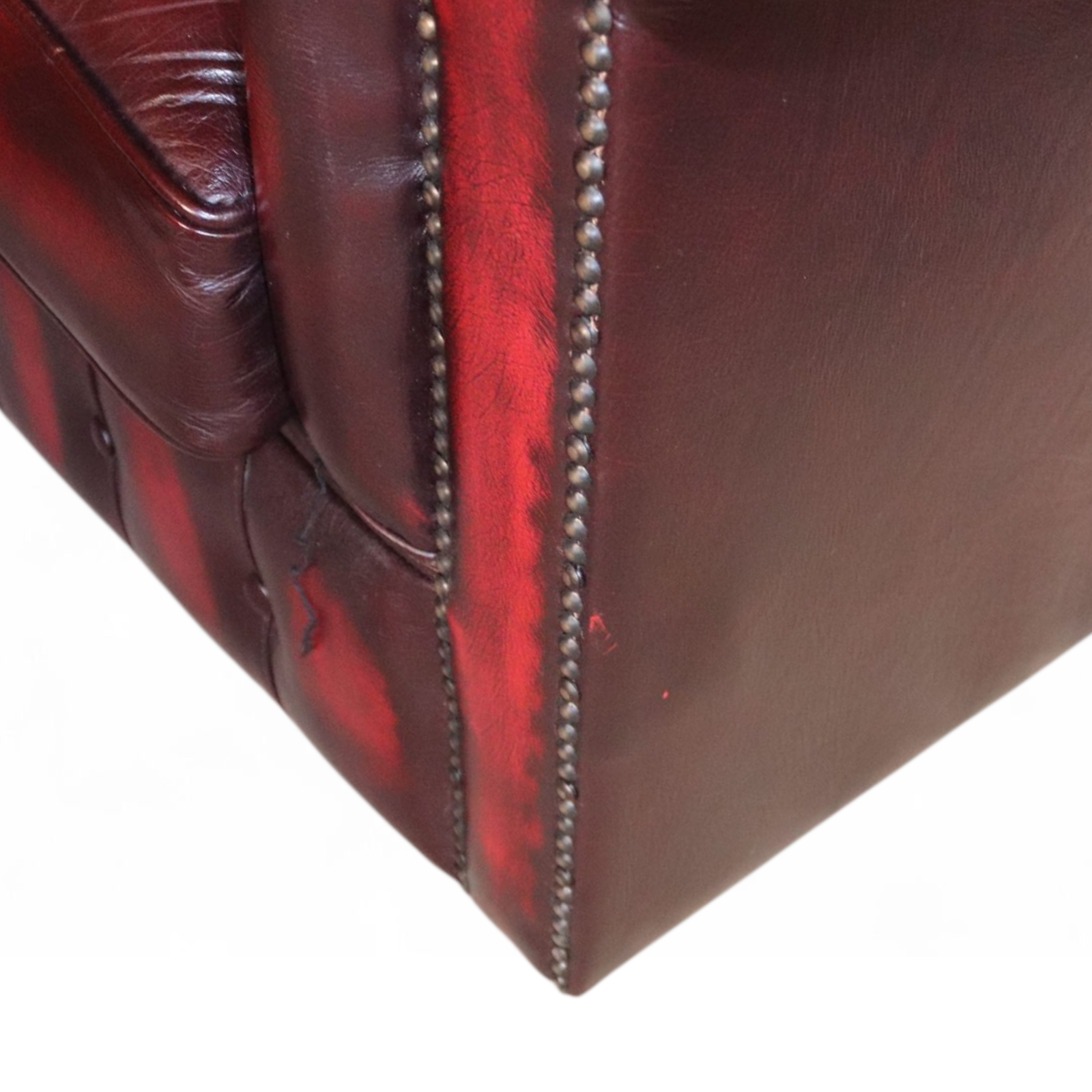 Photoroom-20251113_140839_11.png