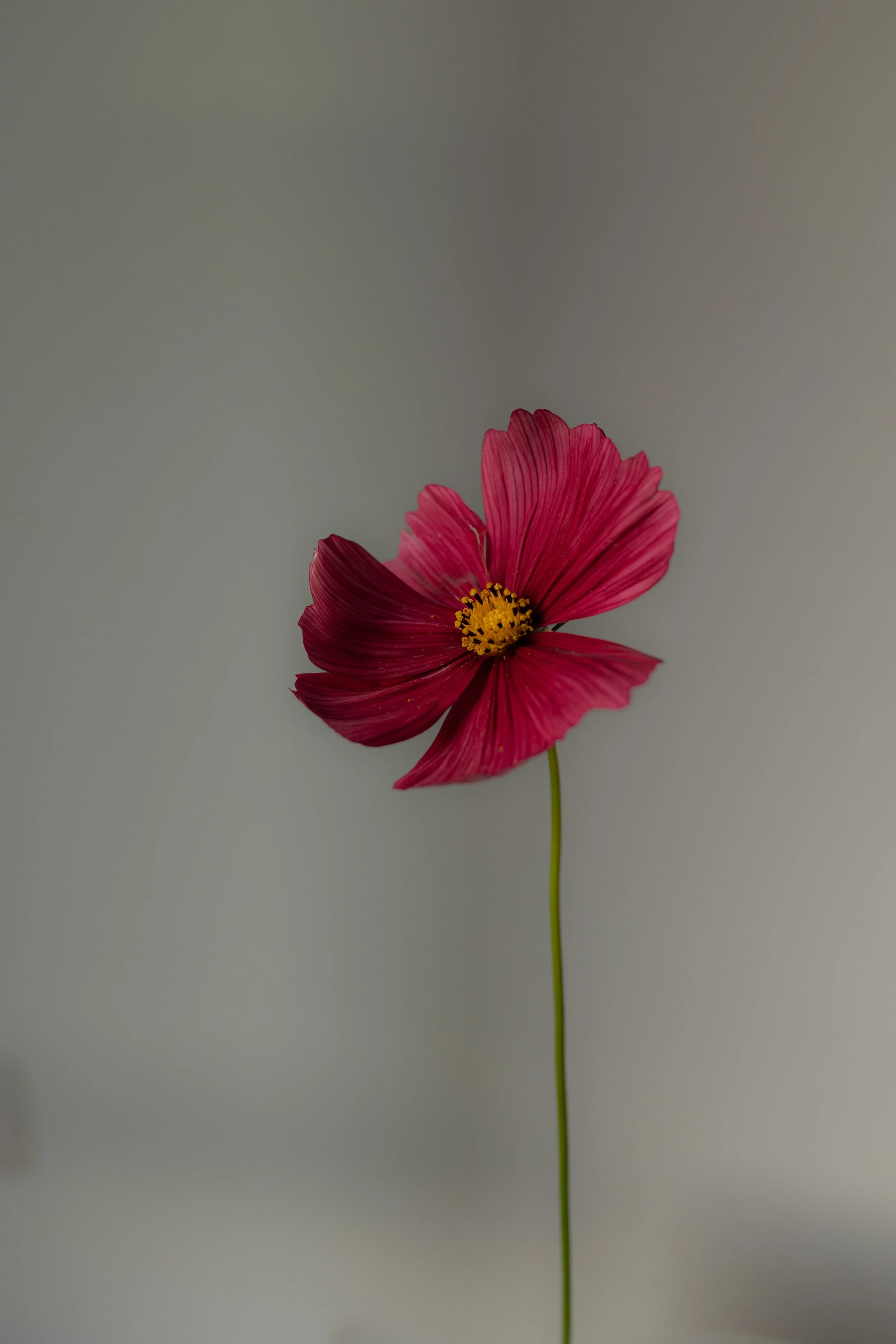 CC1A6207.jpg