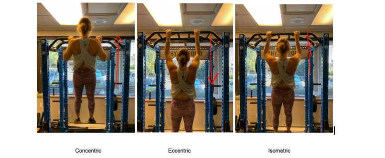 Breaking Down Concentric, Eccentric, and Isometric Muscle Contractions