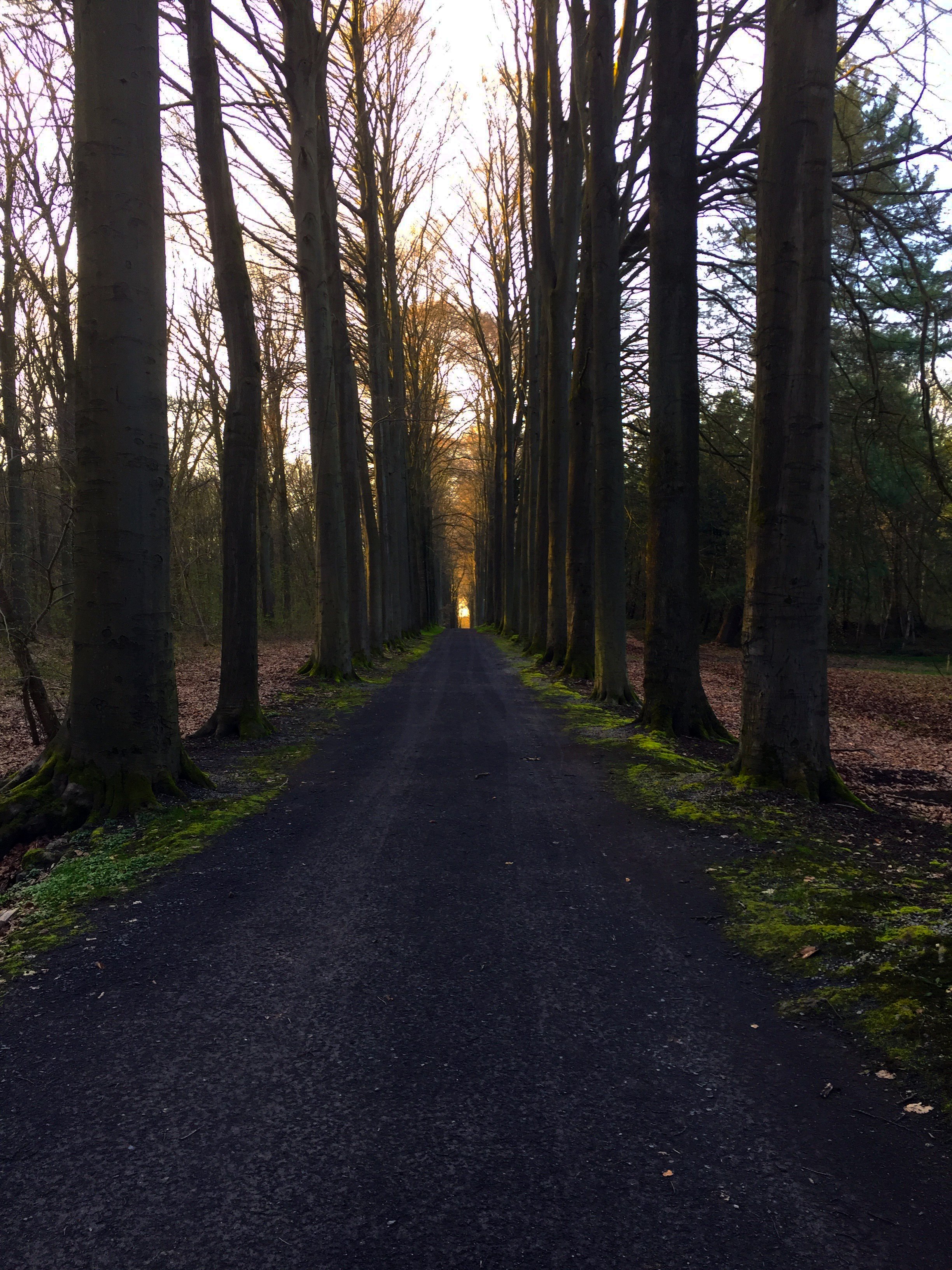 Earth-Lane.jpg