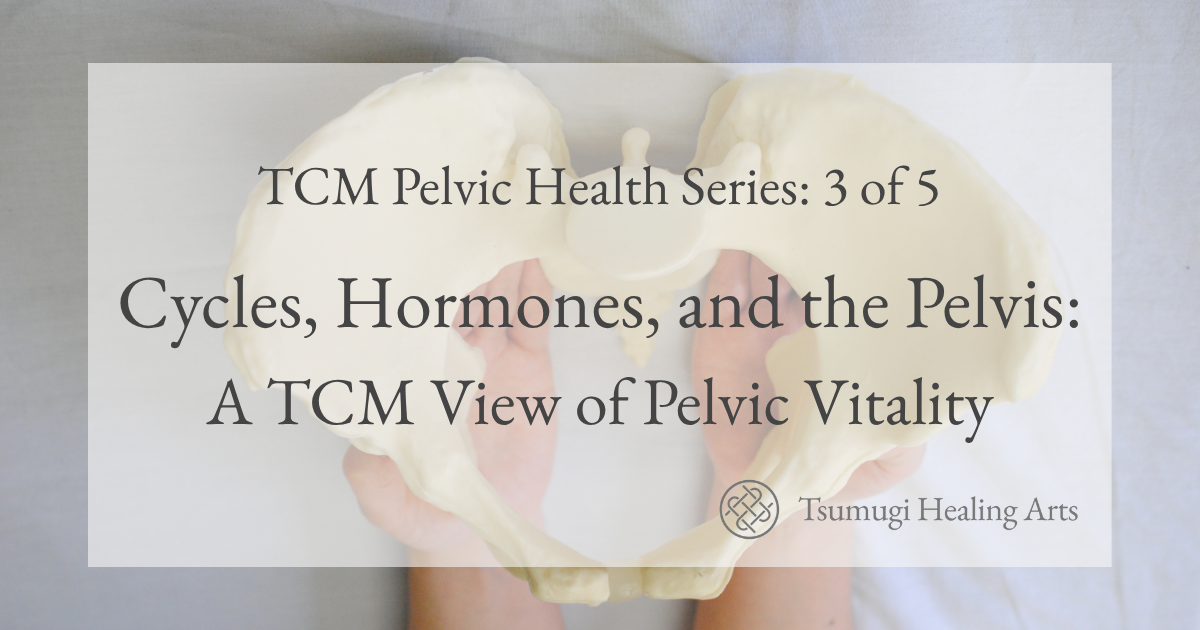 Cycles, Hormones, and the Pelvis: A TCM View of Pelvic Vitality