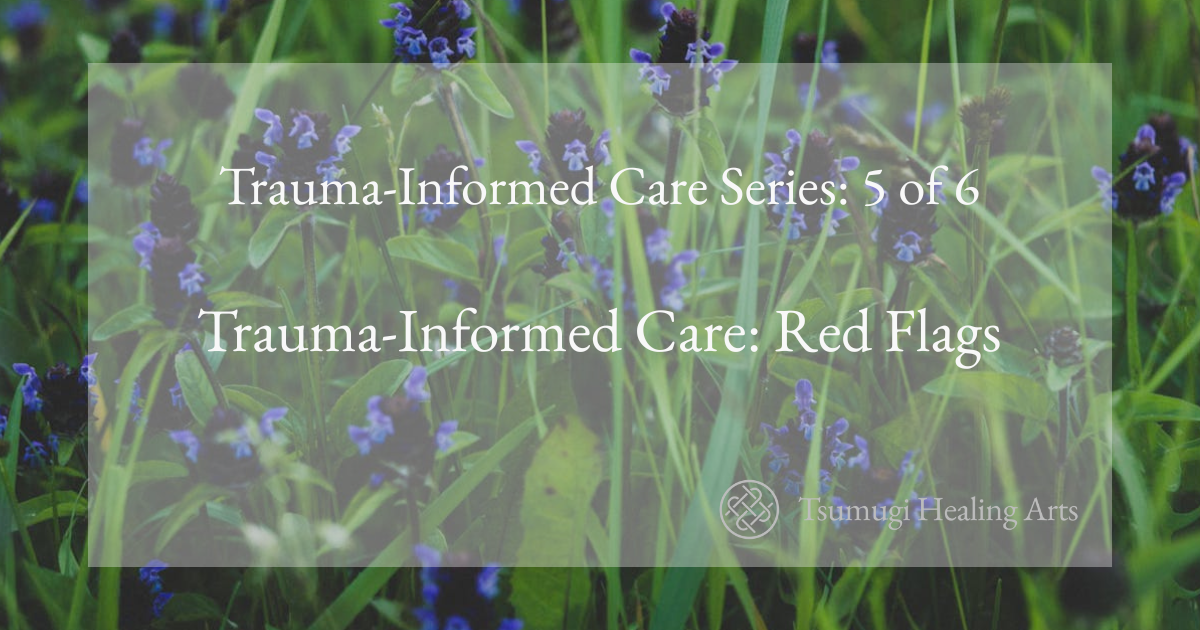 Trauma-Informed Care: Red Flags