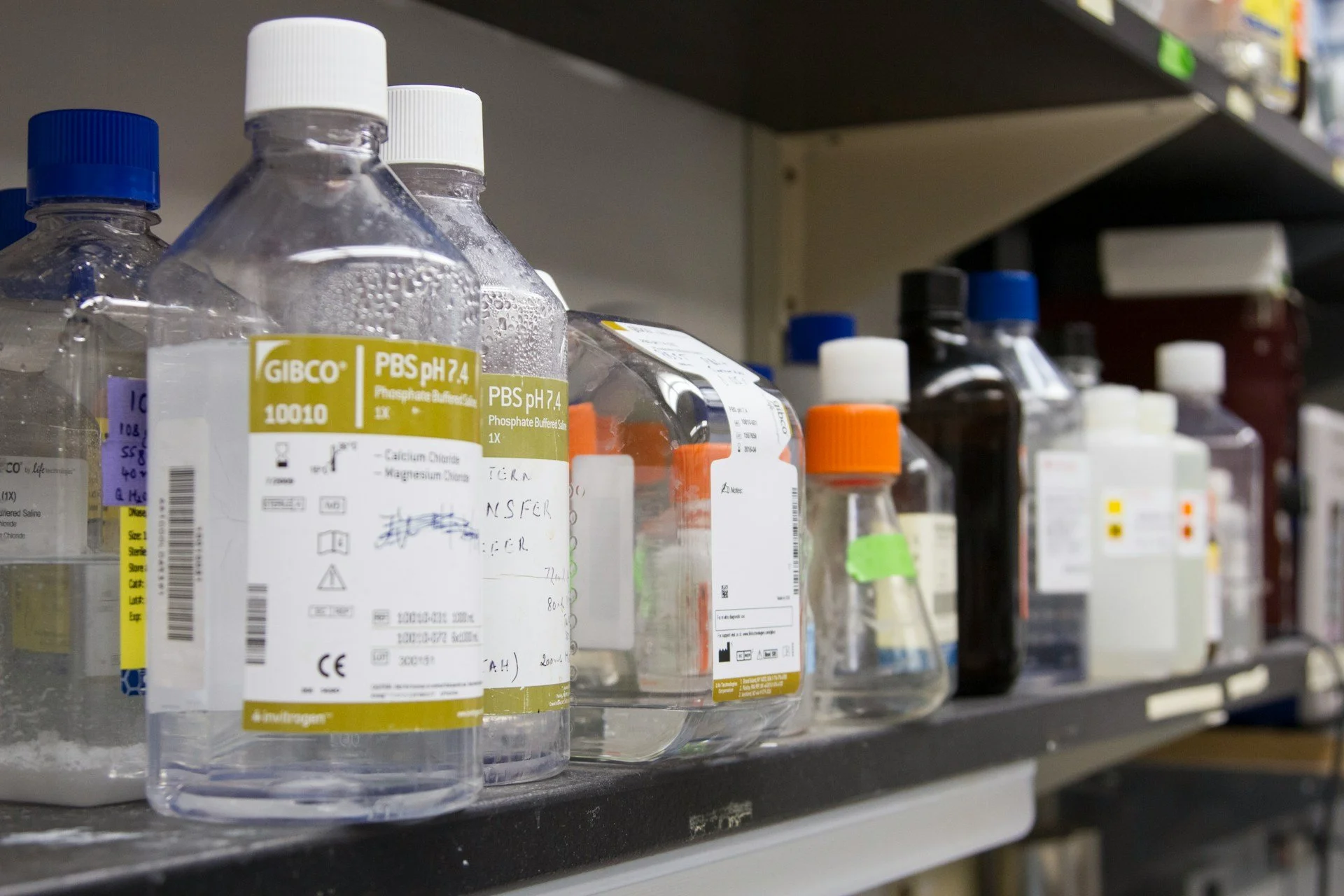 various chemical bottles on the shelf, representing endocrine disruptors