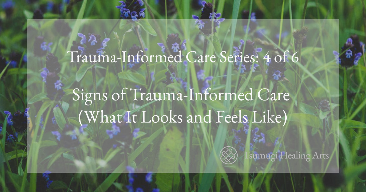 Signs of Trauma-Informed Care (What It Looks and Feels Like)