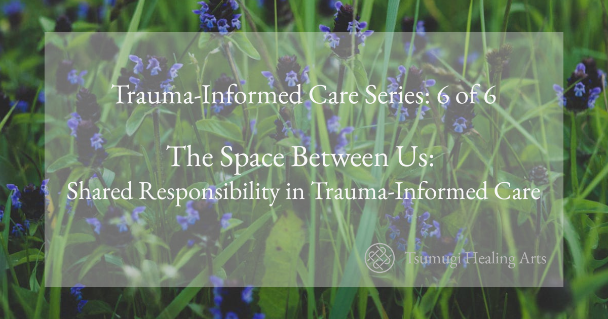 The Space Between Us: Shared Responsibility in Trauma-Informed Care