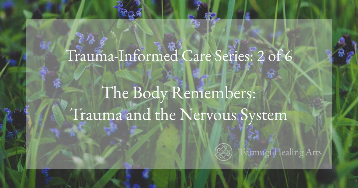 The Body Remembers: Trauma and the Nervous System