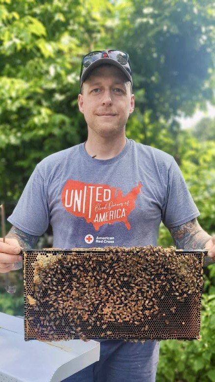 Master-beekeeper-holding-honeybee-hive-frame-in-sunny-backyard