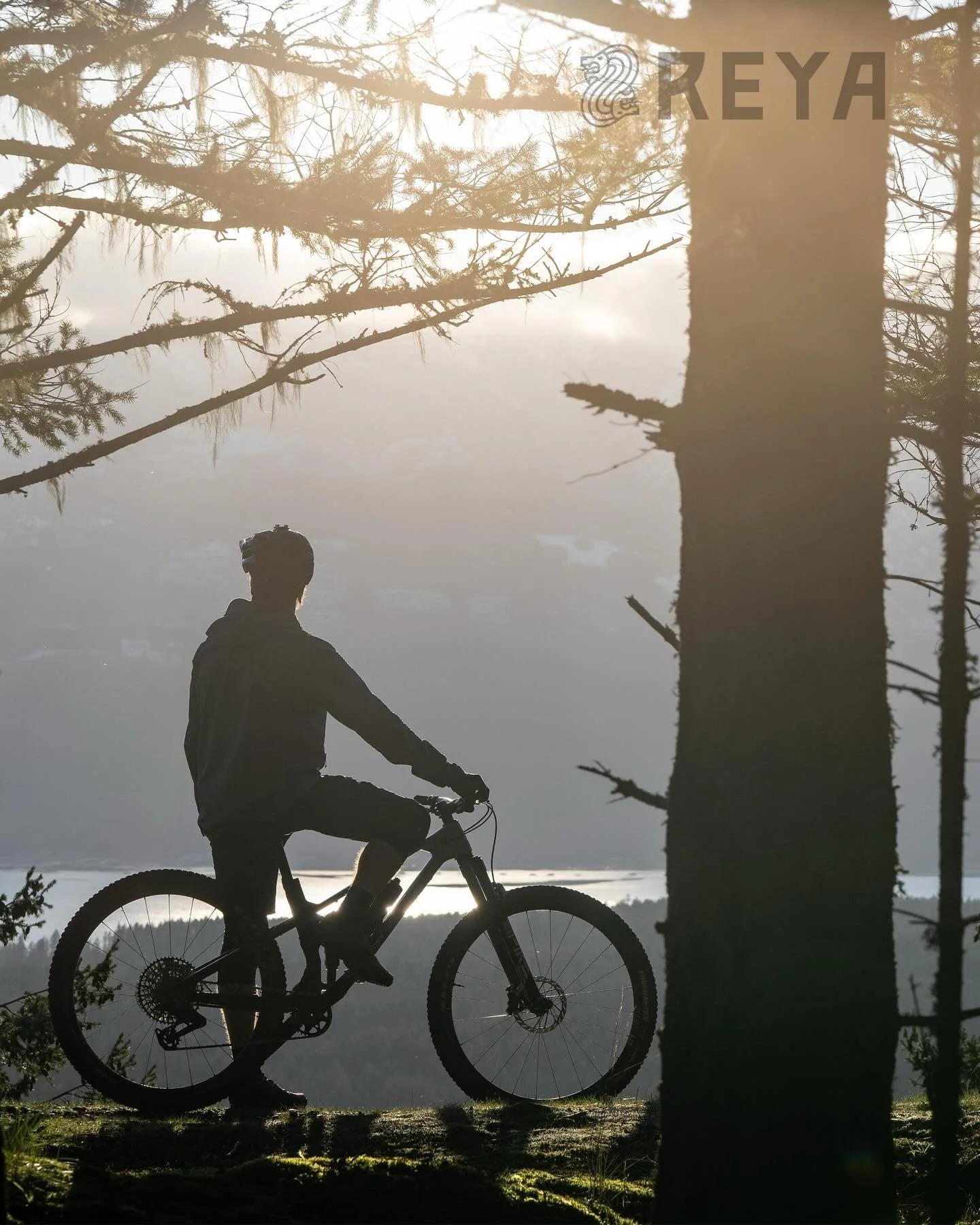 FORBIDDEN REYA : LE 120 MM QUI NE S&rsquo;EXCUSE PAS 🛠️🔥

Alors que tout le monde ne jure que par l&rsquo;assistance, Forbidden rappelle son ADN Gravity avec le @forbiddenbikecompany Reya. Une vision radicale du &laquo;&nbsp;Short-Travel&nbsp;&raqu