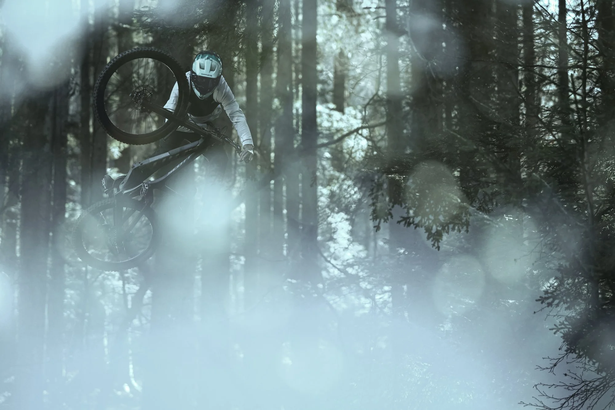 Launch campaign Bluegrass Frozen