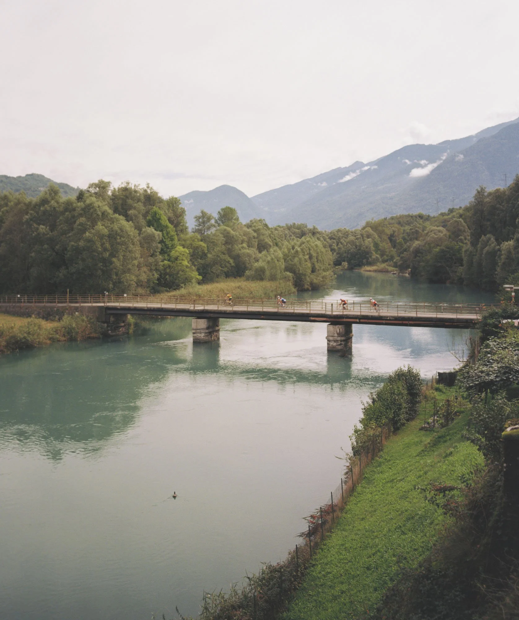 Rödatellina - Analog_557_8.jpg