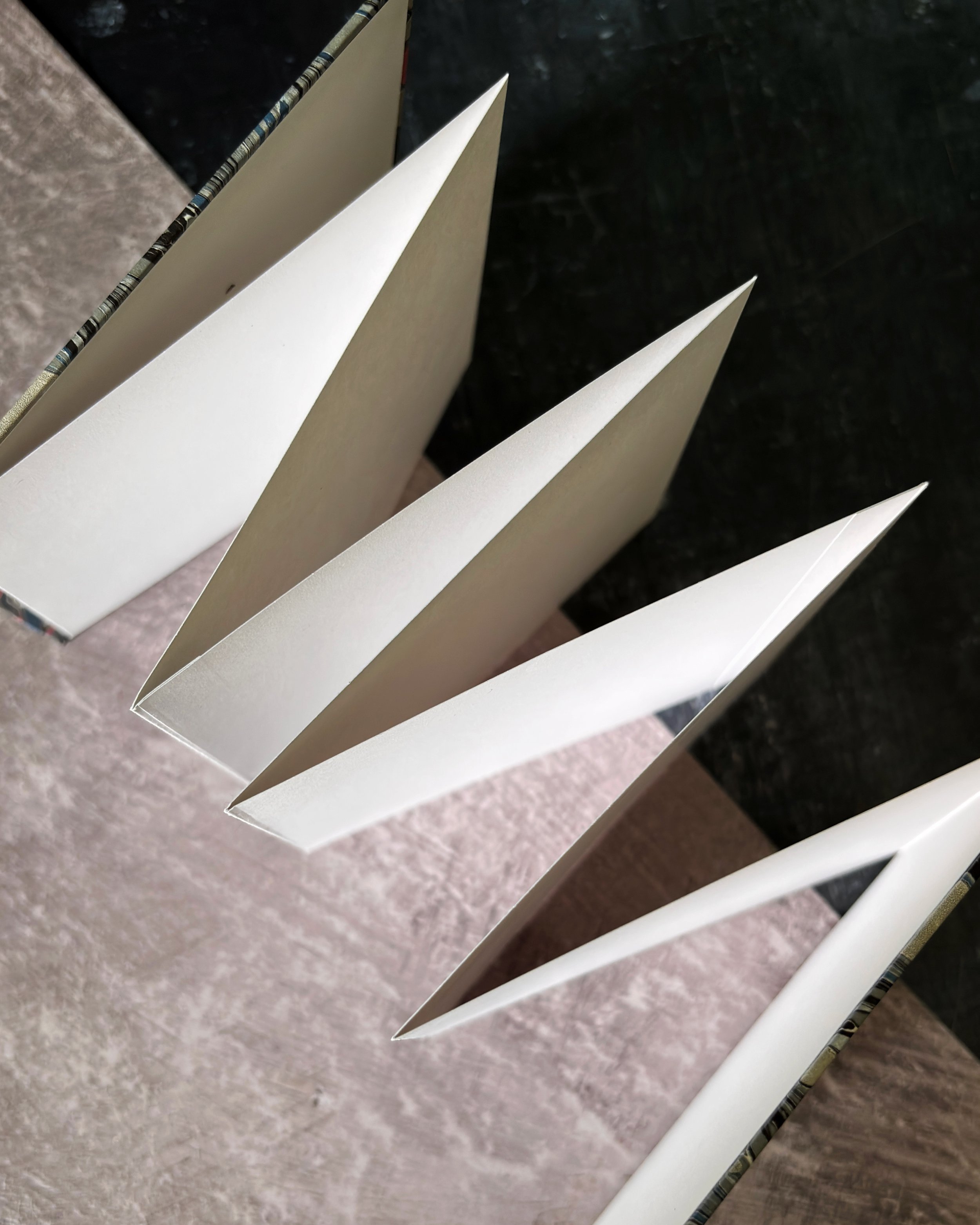 FullSizeRender%2848%29.jpg