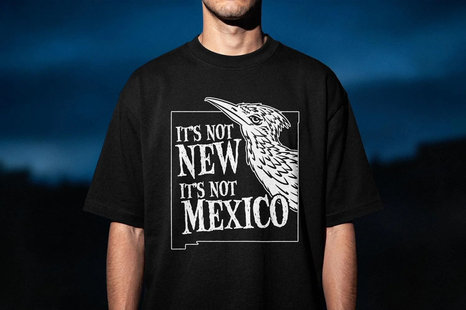 Not_Newmexico.jpg