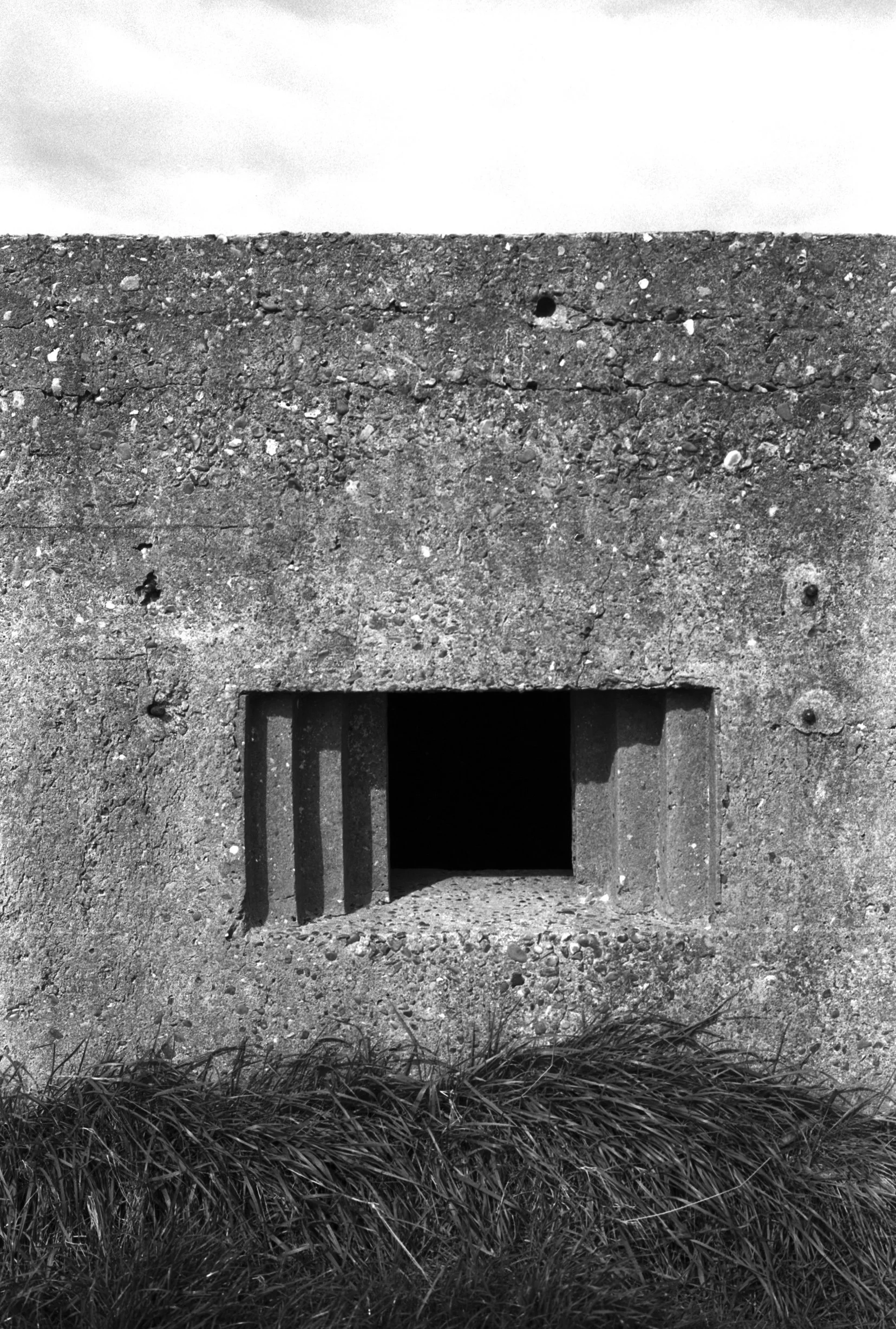 230326 Shingle Street beach III -  –7–- shinglest21.jpg