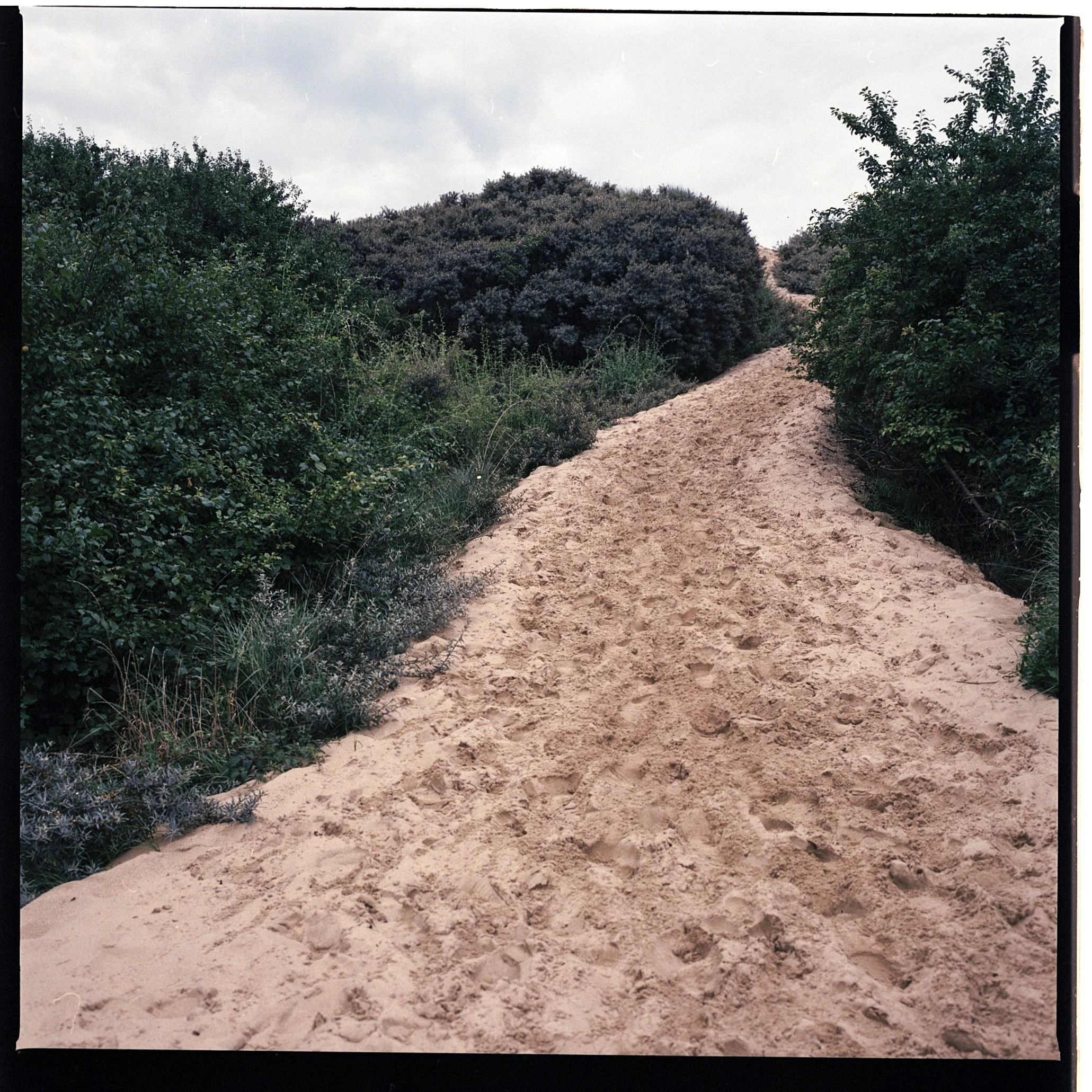005 - 5080 -230802 Camber Sands Portra 400 (8).jpg