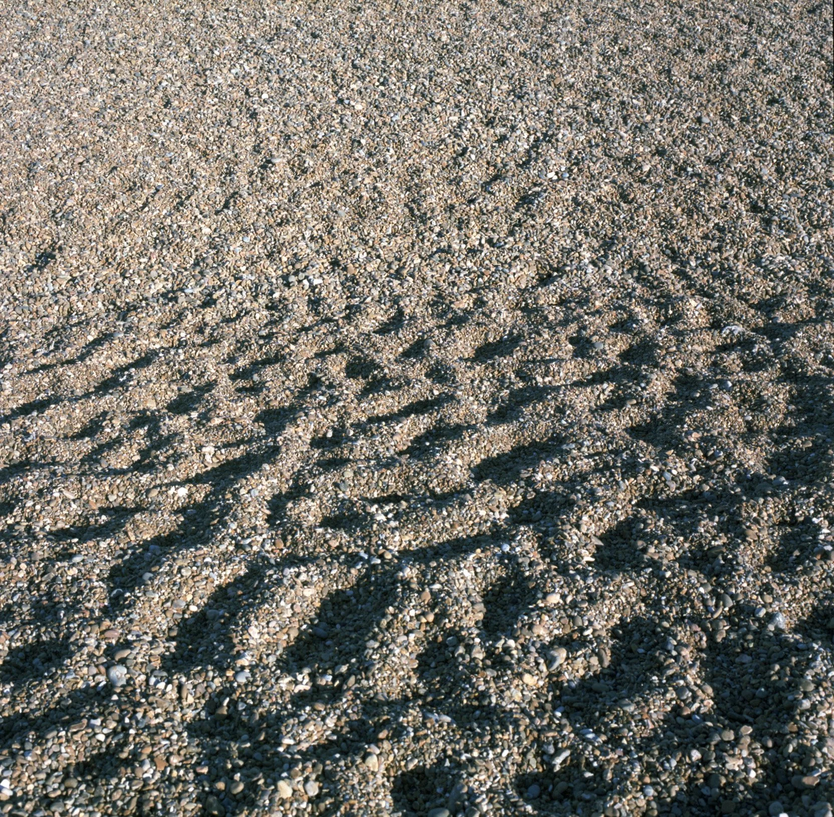 230403 Shingle Street Pro400 I   –6–- shinglest18.jpg