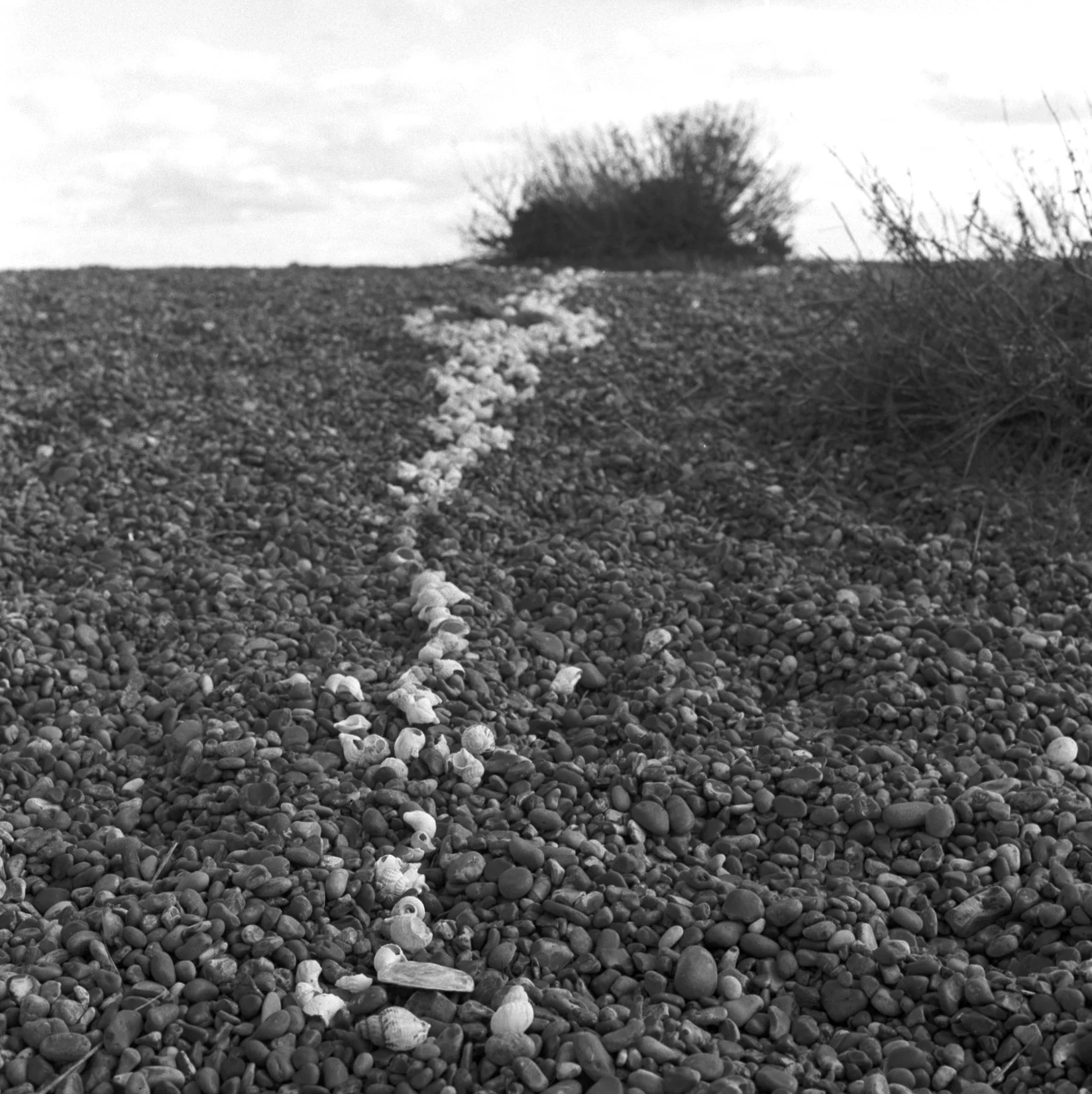 230326 Shingle Street beach V -  –5–- shinglest10.jpg