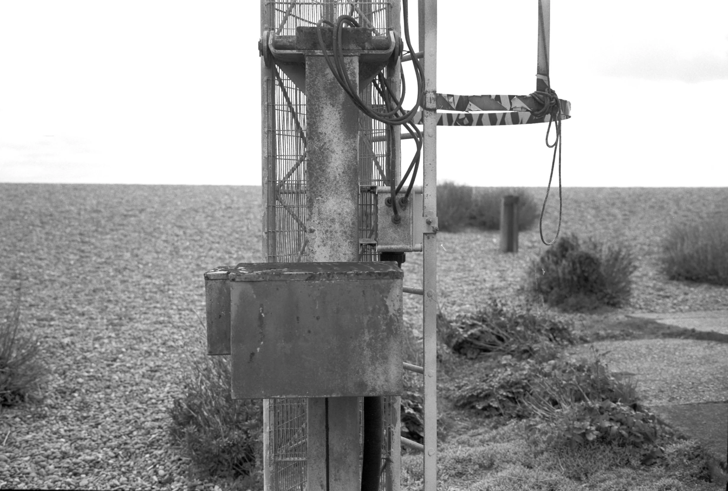 230326 Shingle Street beach II - - shinglest12.jpg