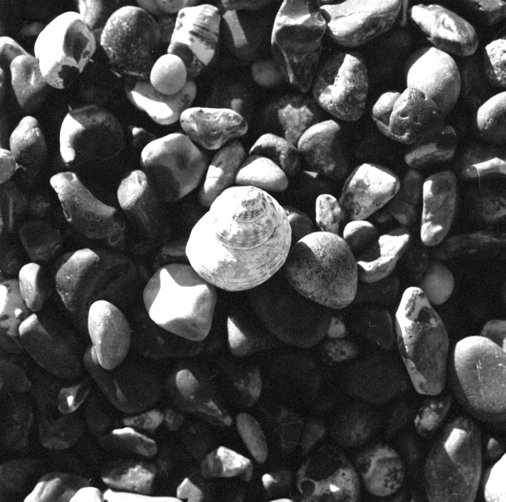 230326 Shingle Street blue sky 6x6 V - –8–- shinglest34.jpg