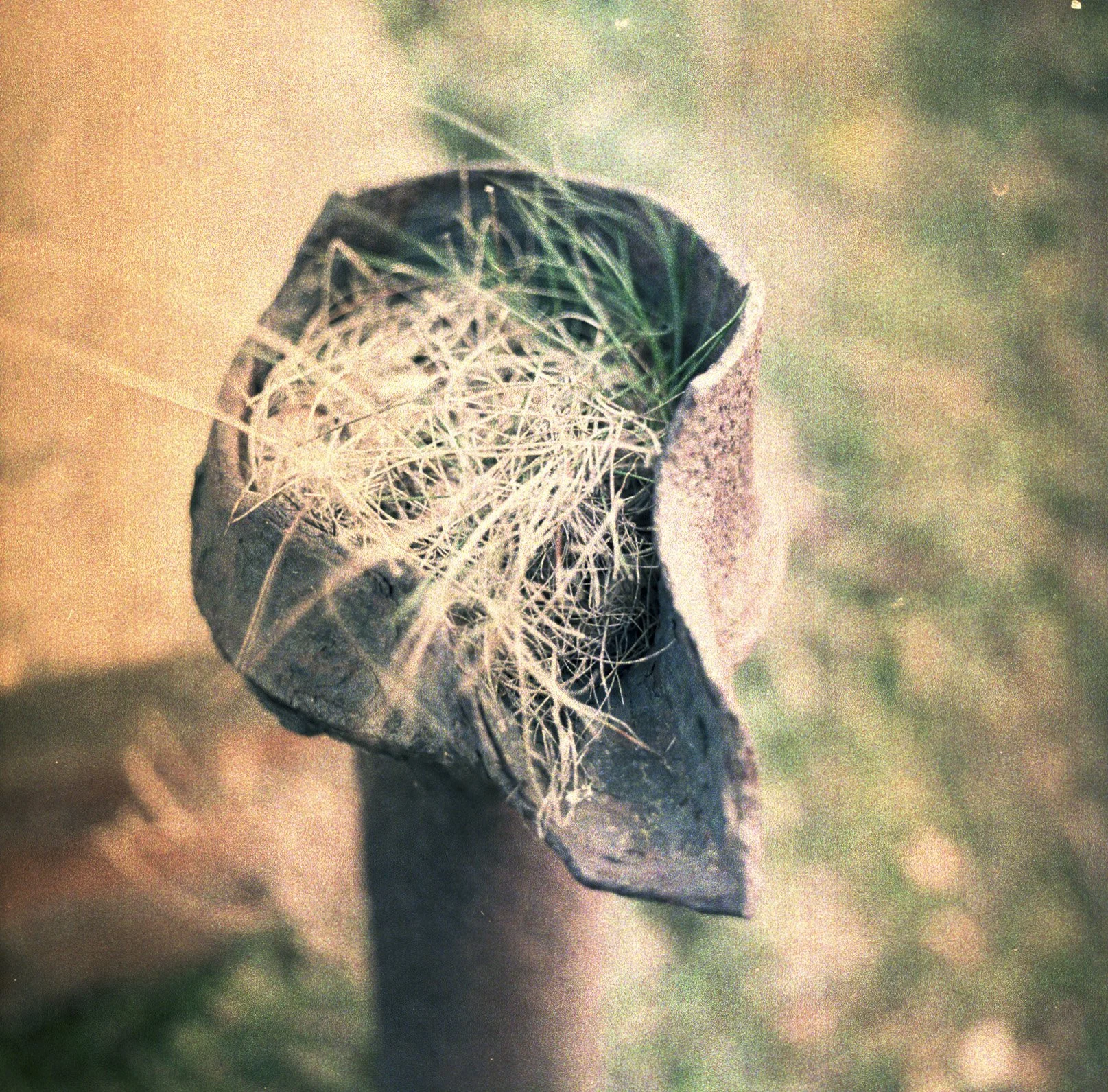 230406 Shingle Street Pro400 III - (11)- shinglest11.jpg