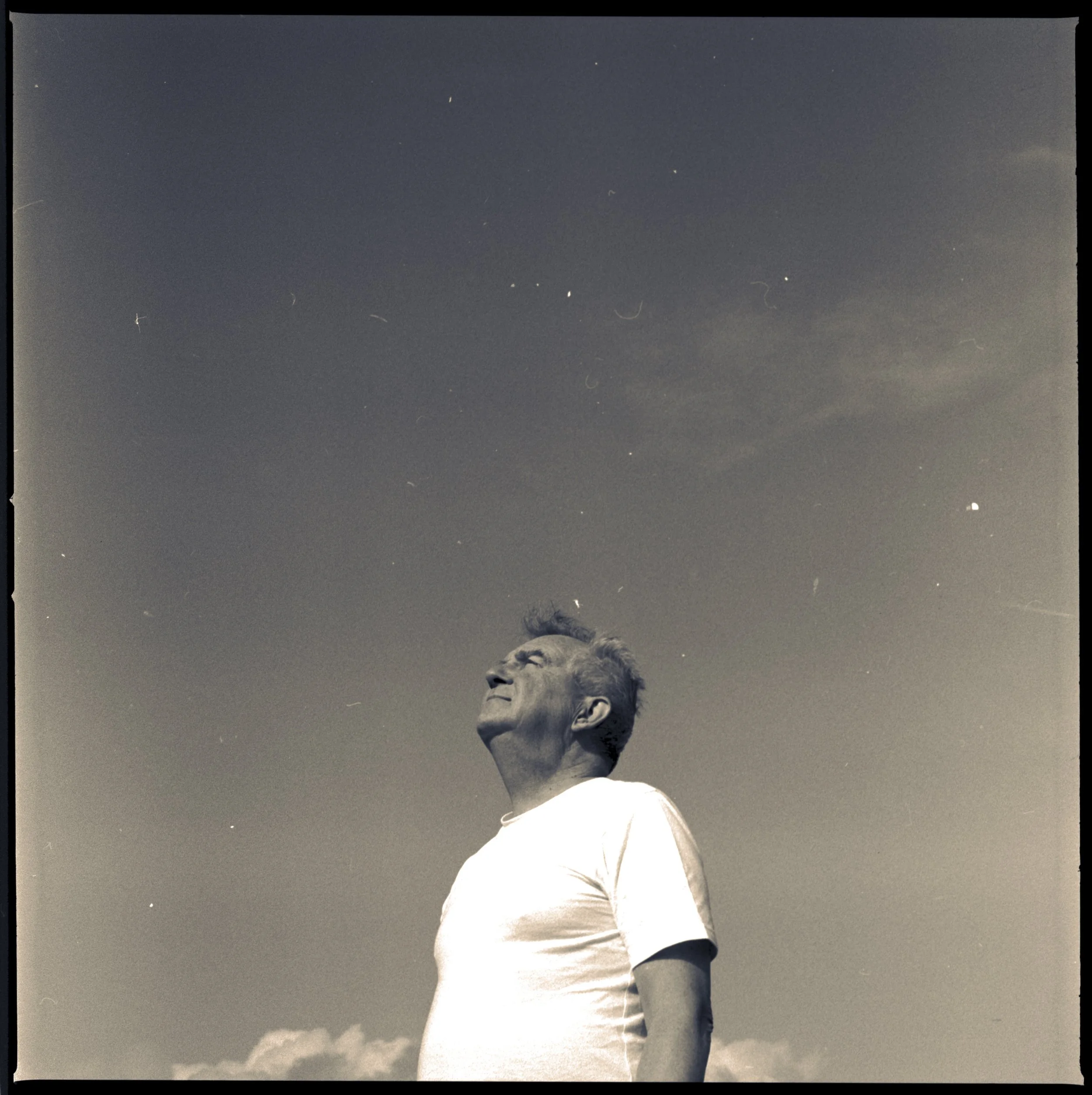 240304 Shingle Street larks I - (2)- shinglest14.jpg