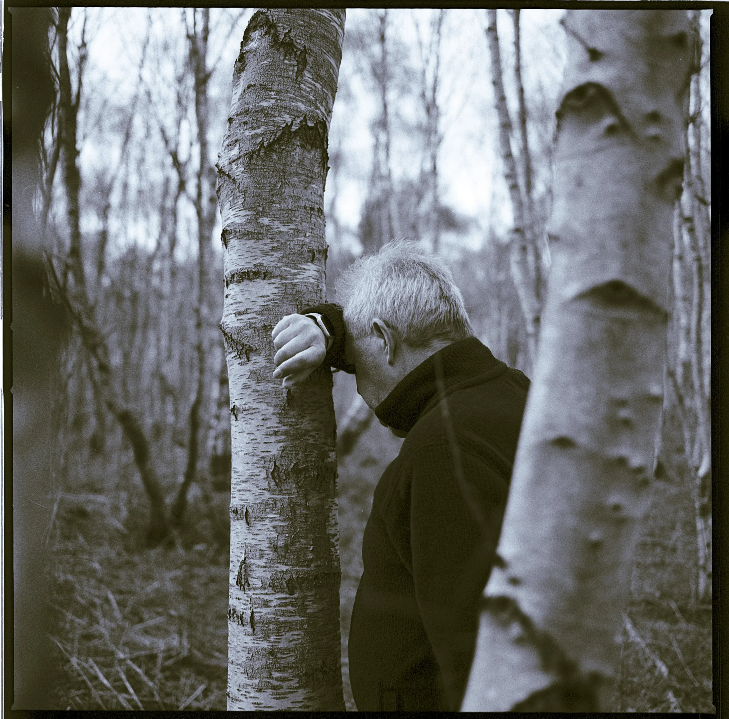 240227 Self-portraits Rendlesham - II - - shinglest4.jpg