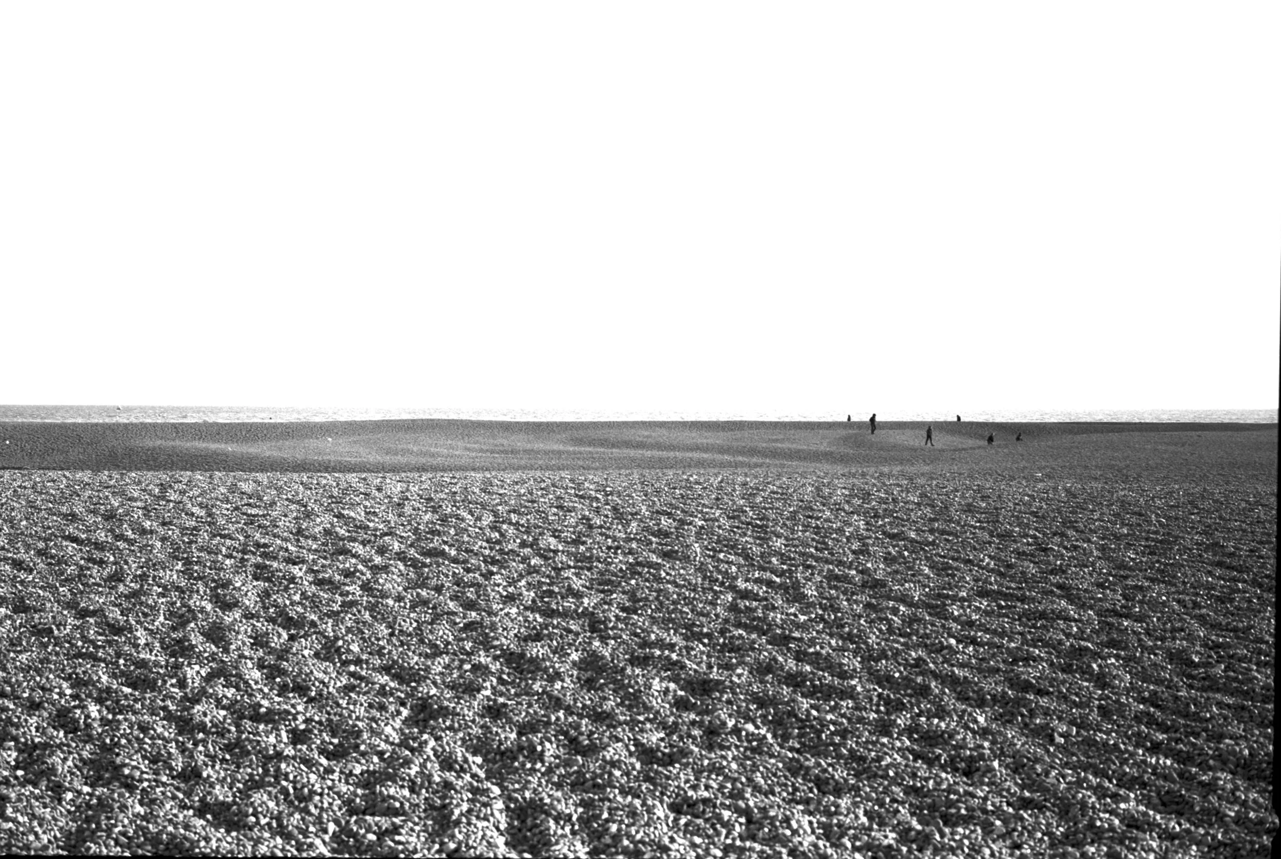 230205 Shingle Street var II -  –4–- shinglest6.jpg