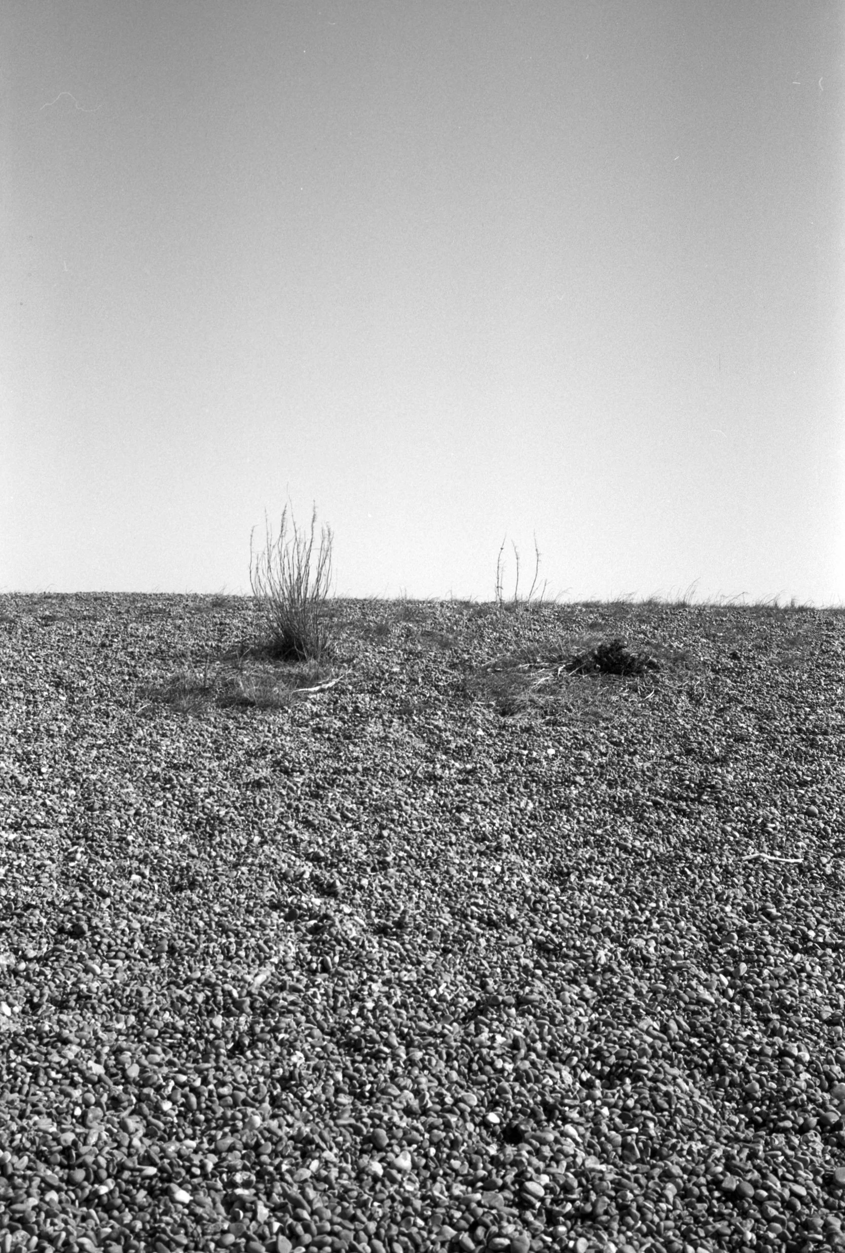 230403 Shingle Street blue sky I -- shinglest5.jpg