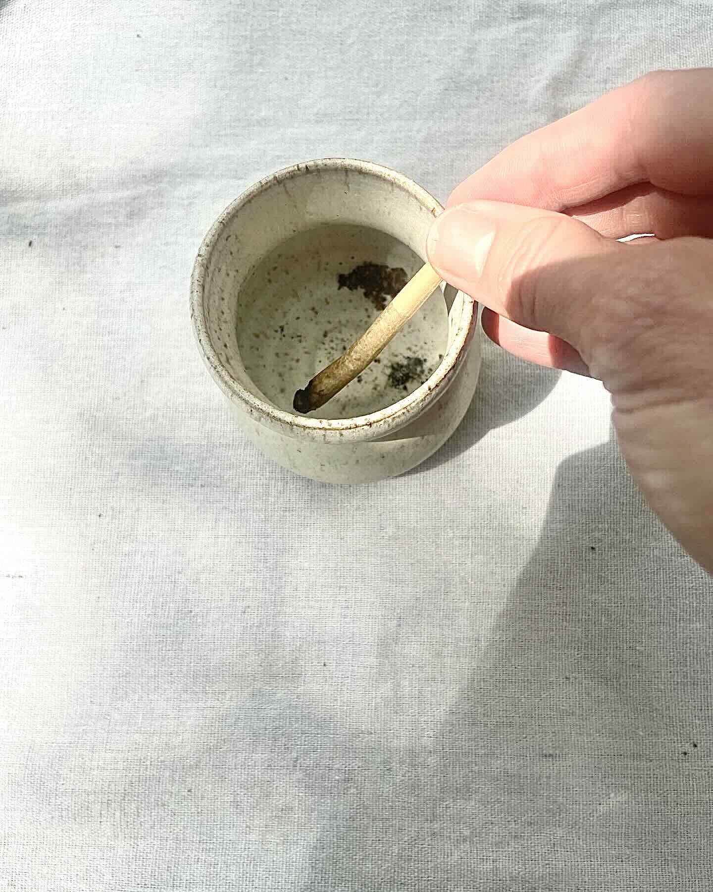 ash mushroom 4.jpeg