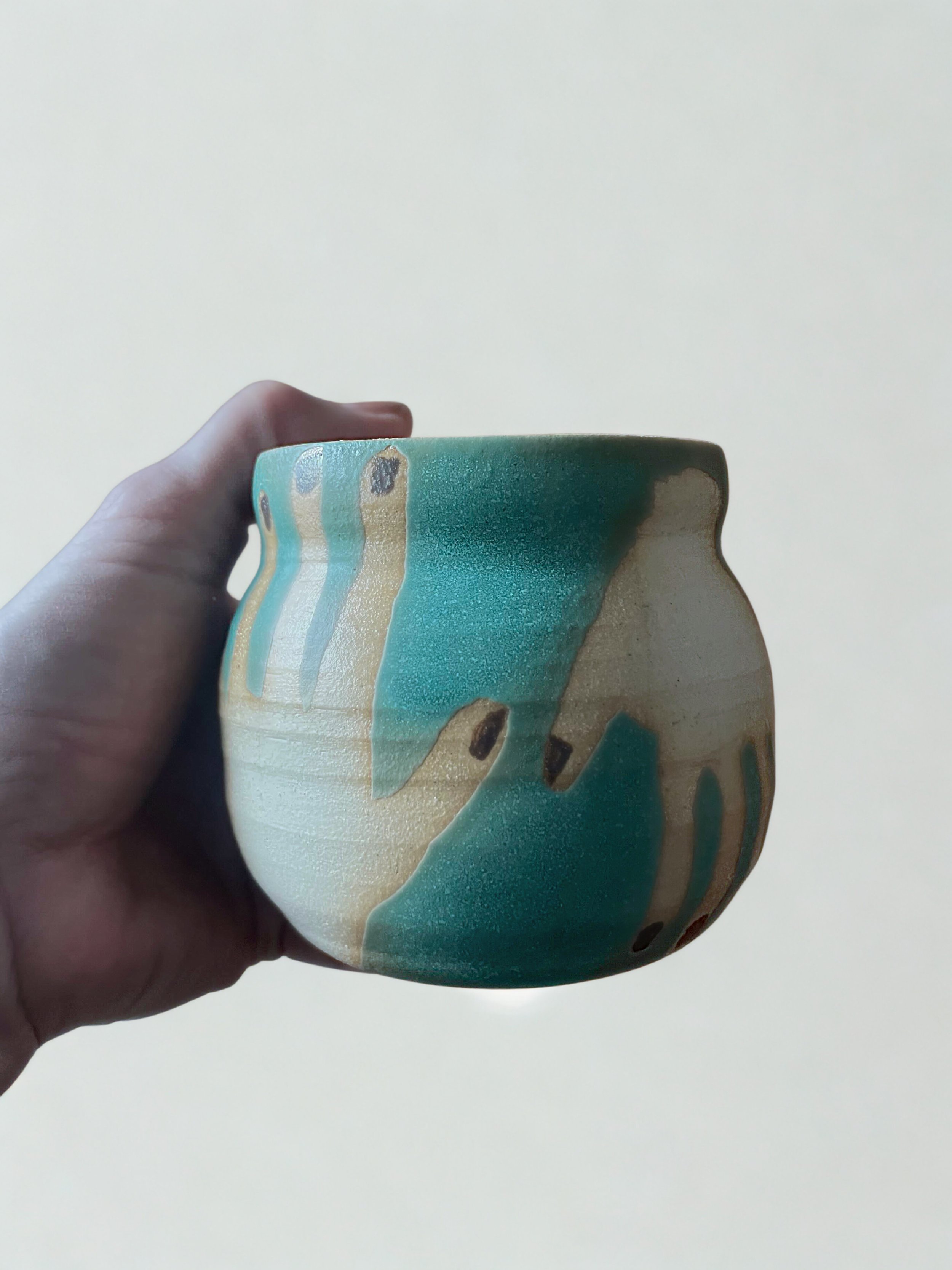 hands vase in hand.jpg