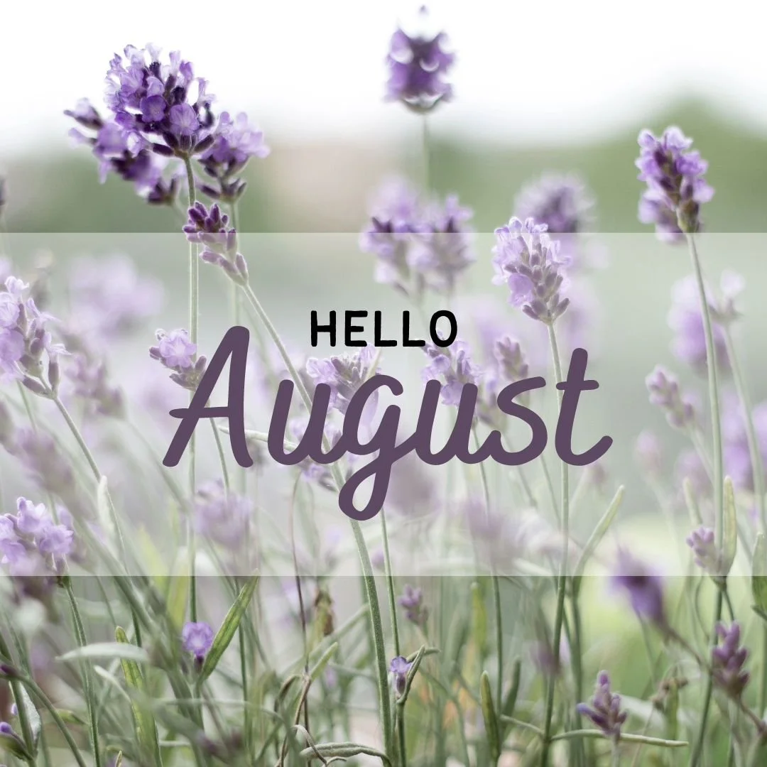 Happy August!!! 💜

A new month for beautiful beginnings!