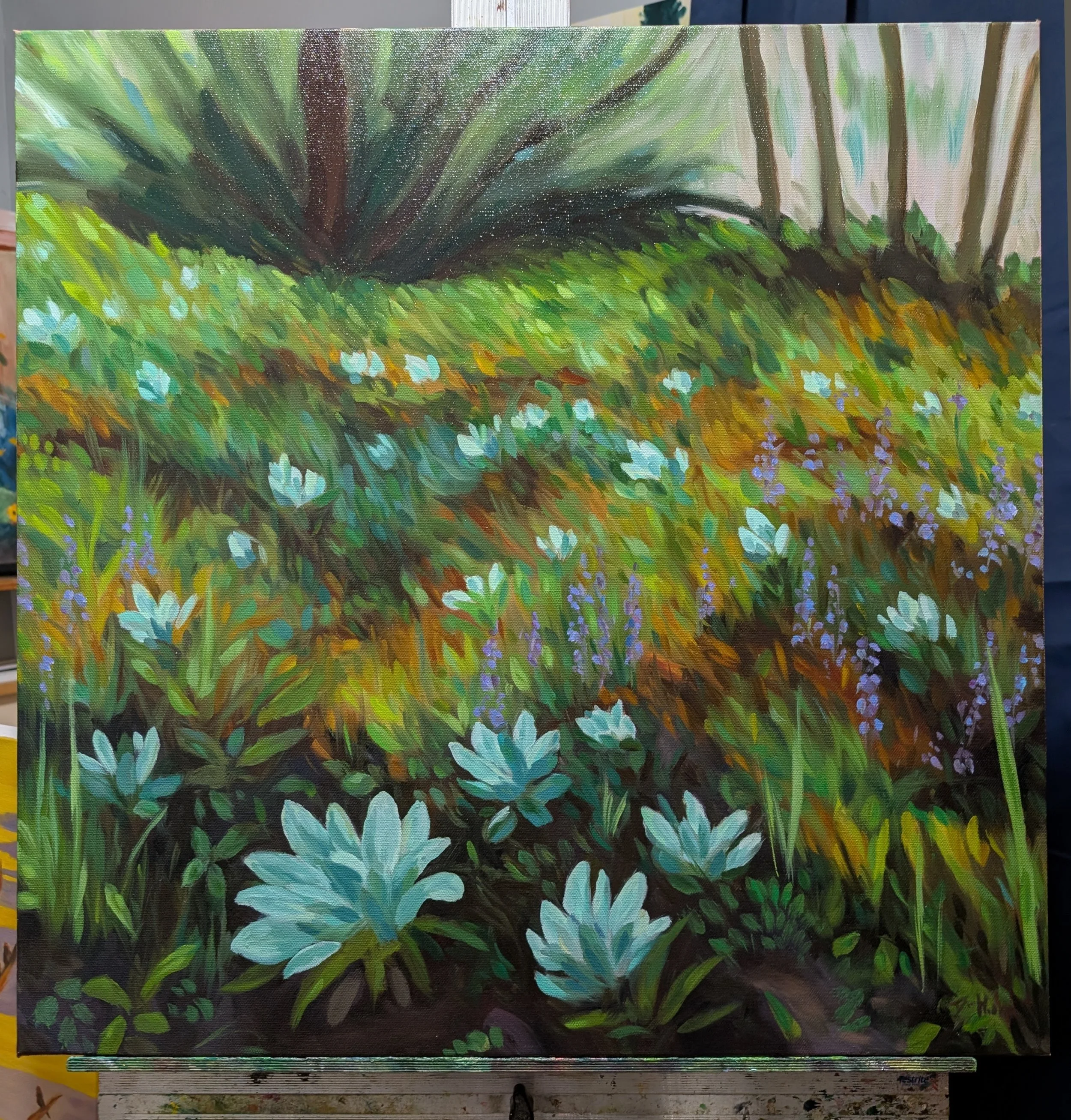 available for purchase but not fostering