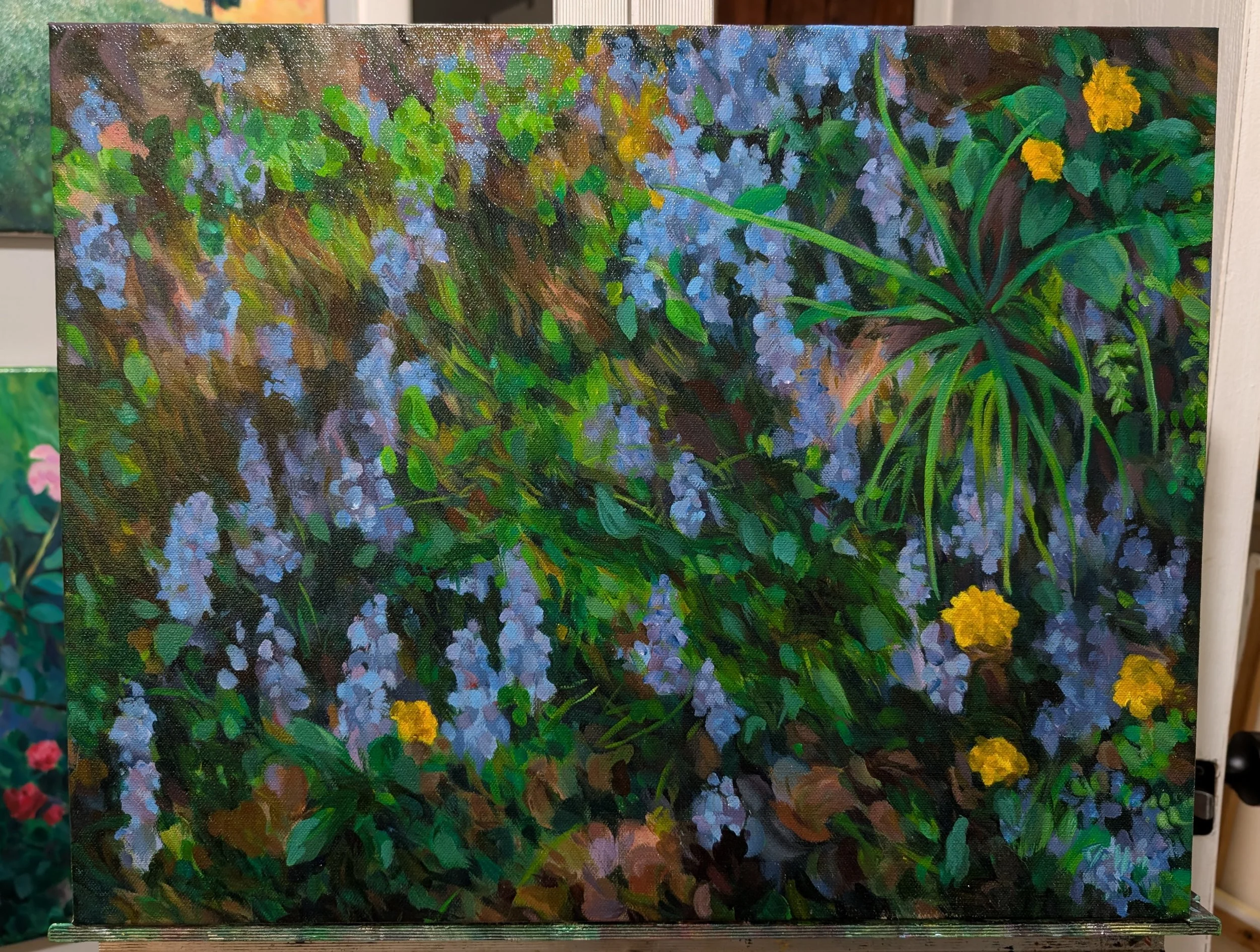 available for purchase but not fostering