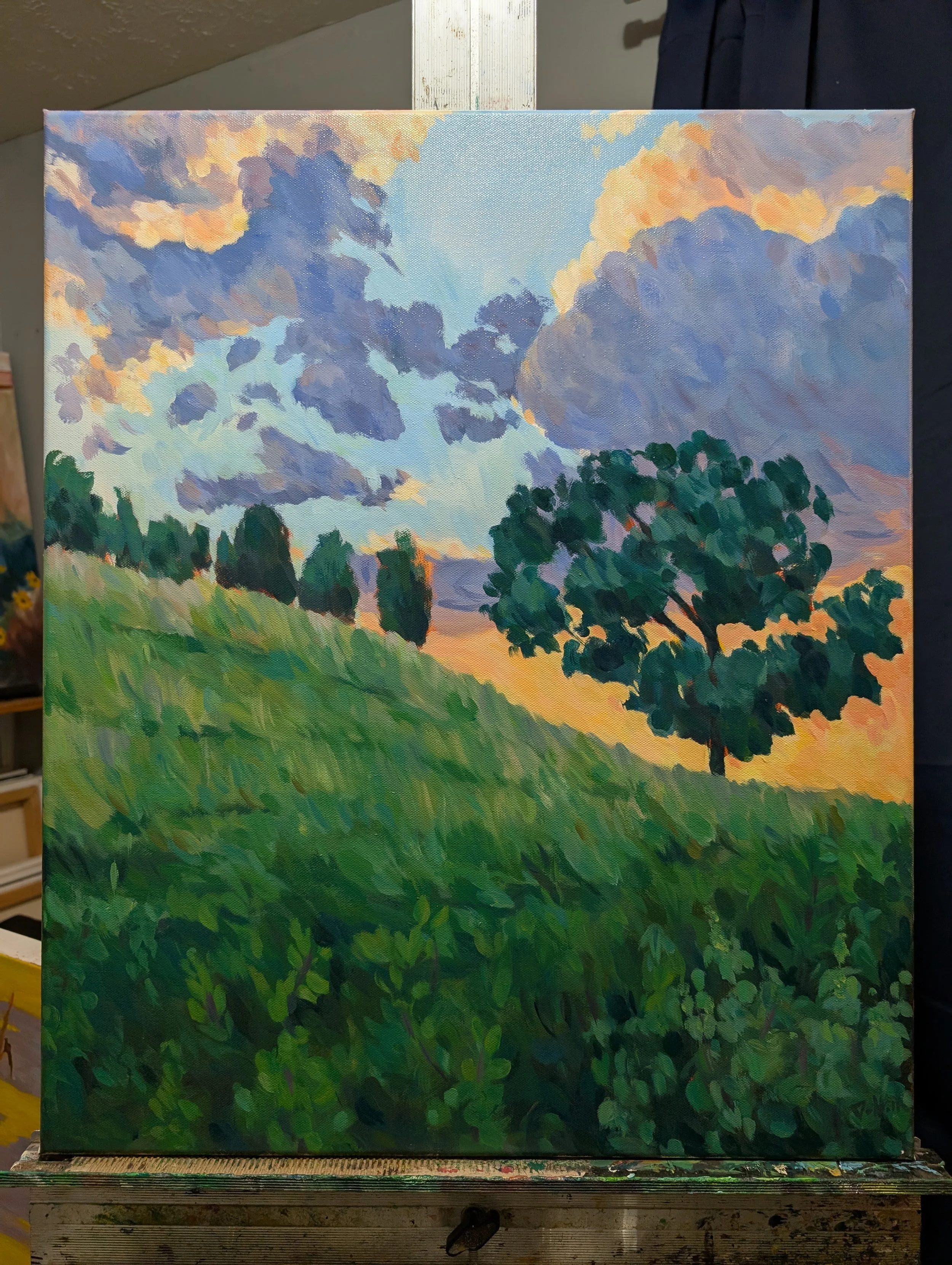 available for purchase but not fostering