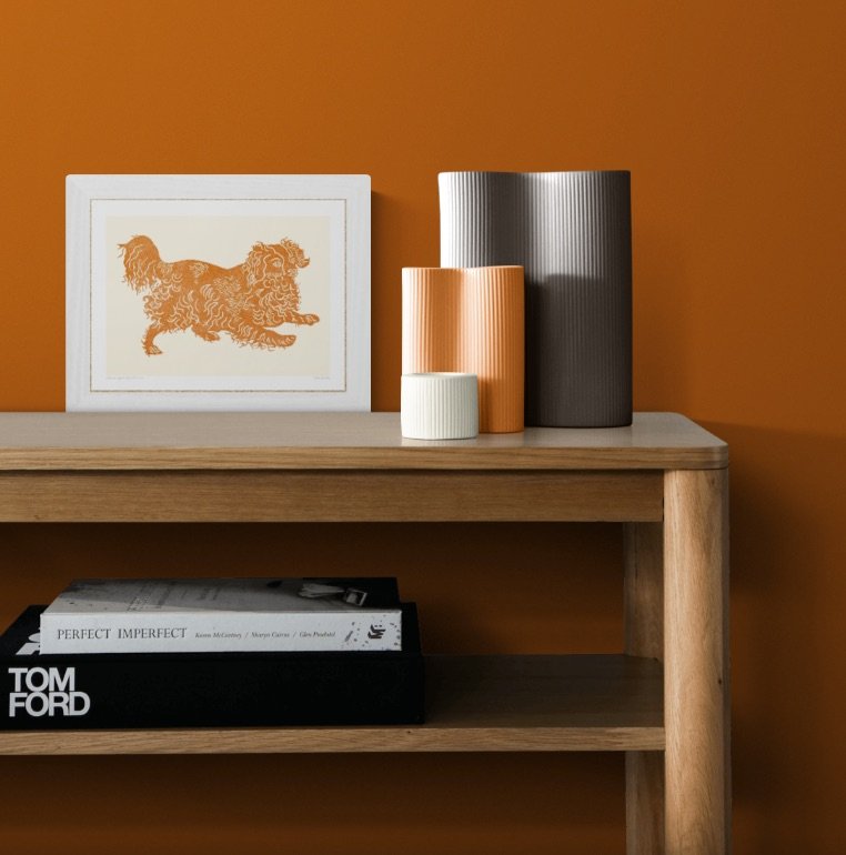 Toffee_Spaniel.jpg