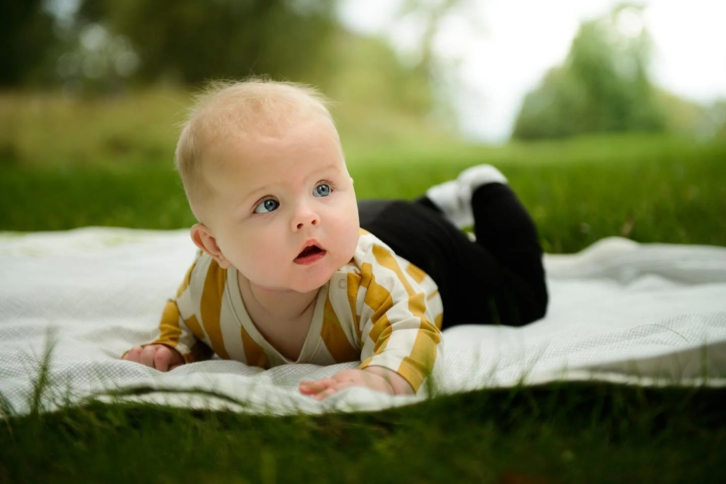 #familyportraitsession #newbornphotography #familjefotografering