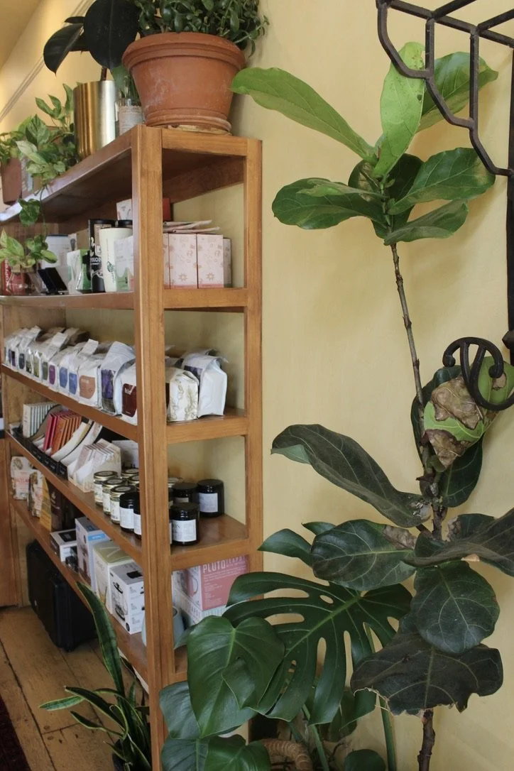 Gryphon Cafe Preservation cafe renovation commercial