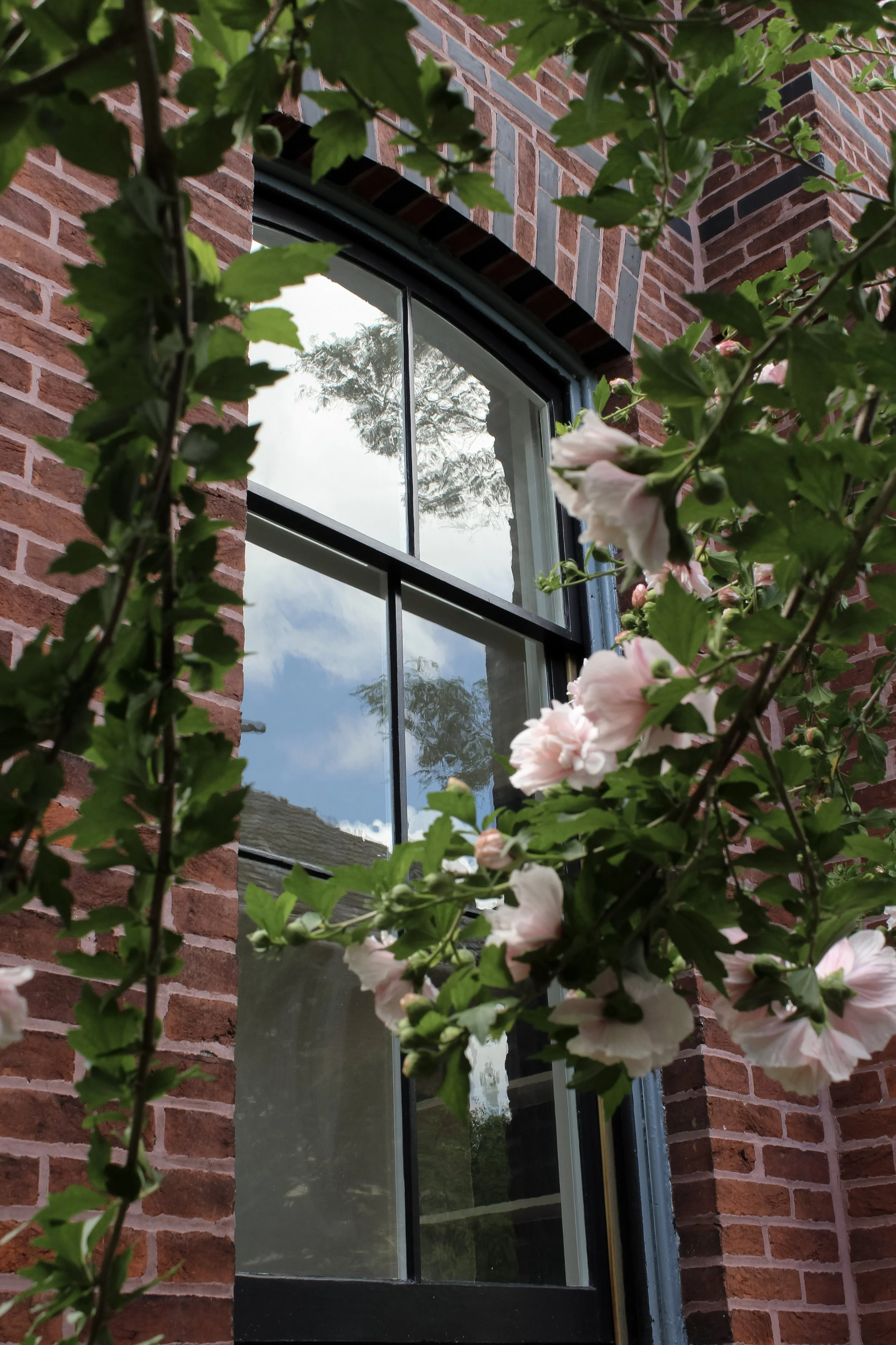 wood windows repairs, Window restoration and preservation, wood repairs, wood windows, historic